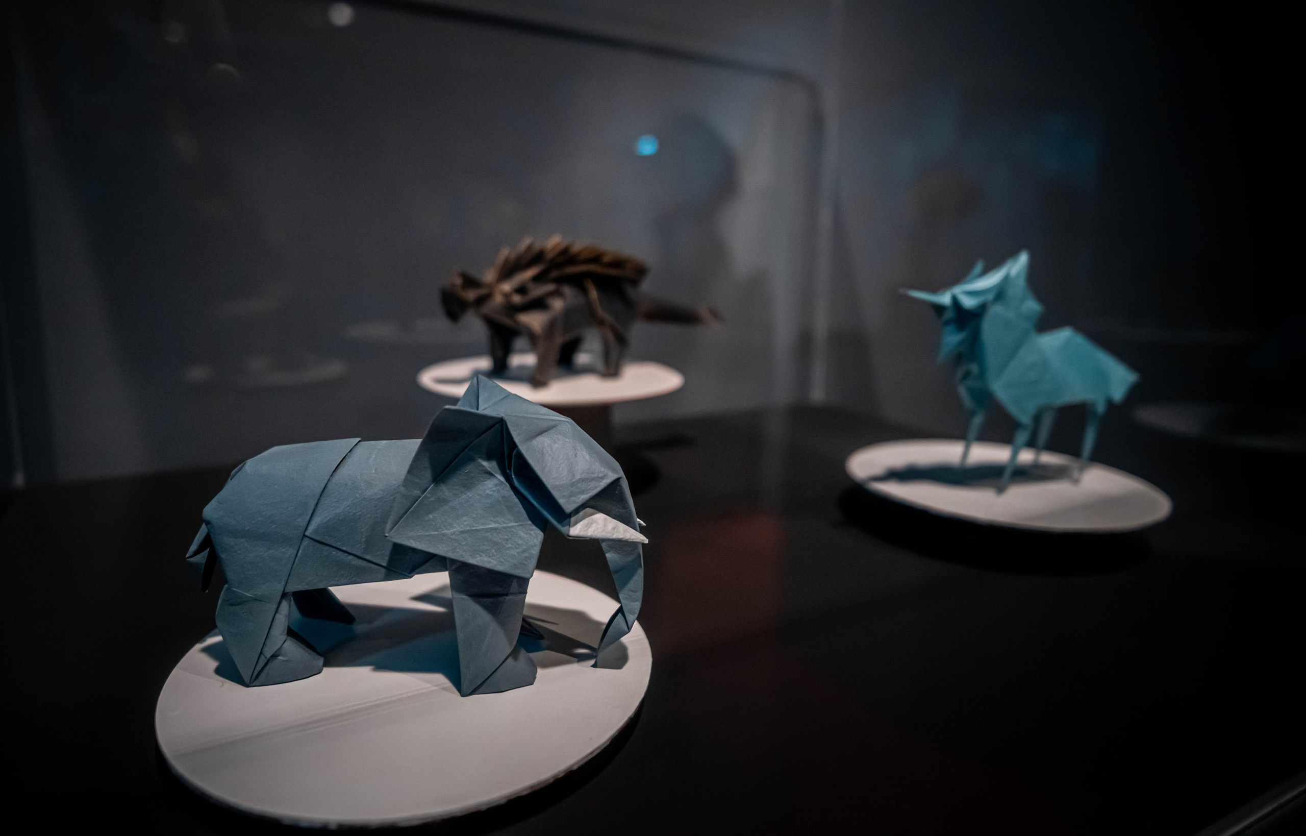 Museo de origami, Zaragoza. Alba del Norte Studio