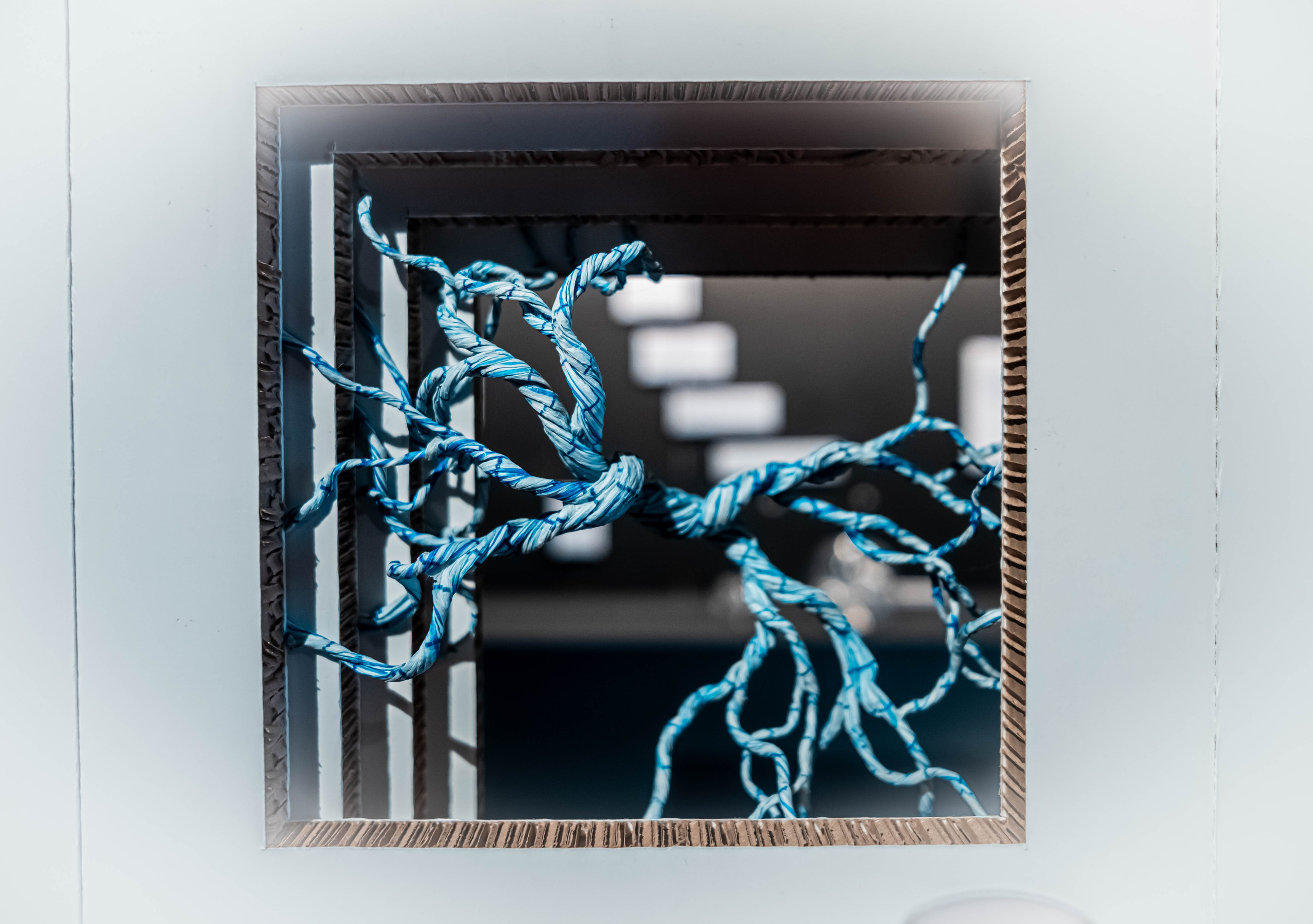 Museo de origami, Zaragoza. Alba del Norte Studio