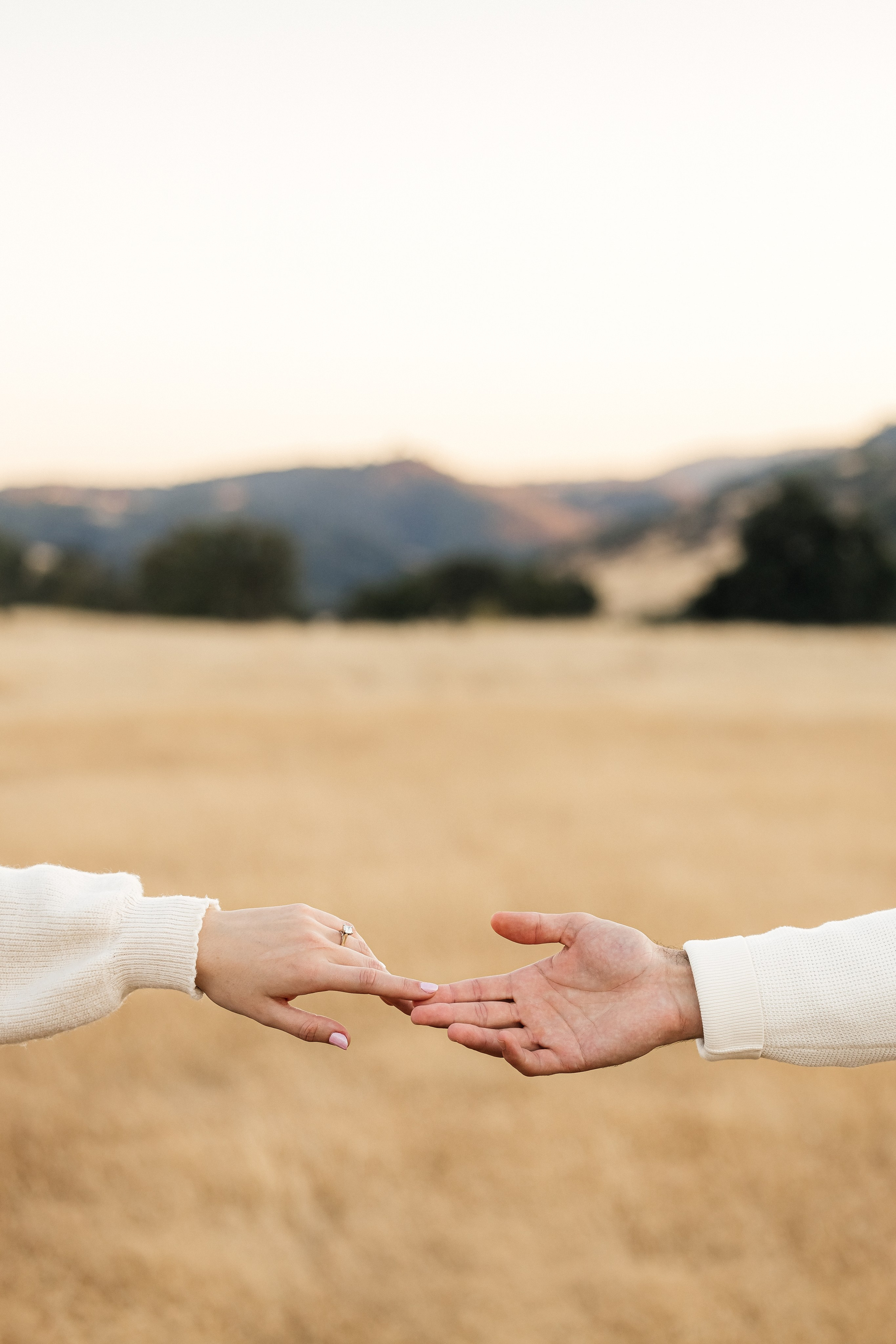 Engagement & Love stories. ArtFeather Photography. Sacramento, California
