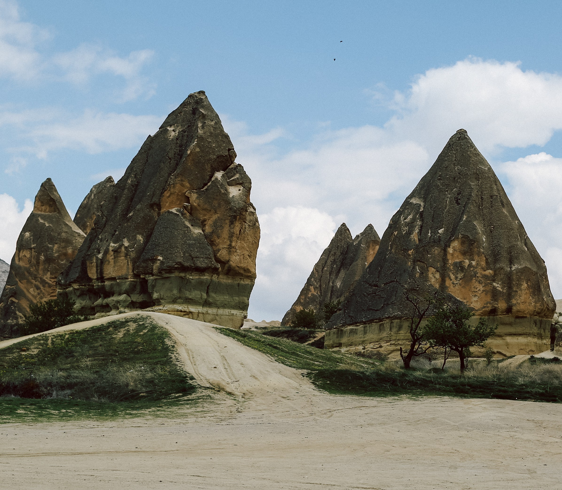 Professional photographer USA. Photoshoot. Headshoots. Portraits. Proposal. Wedding. Family. Shoots