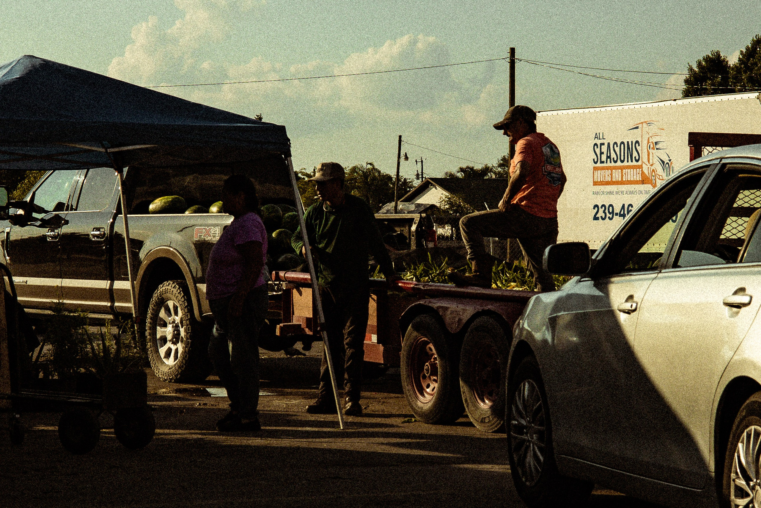 Americana — Immokolee. Out and About 239