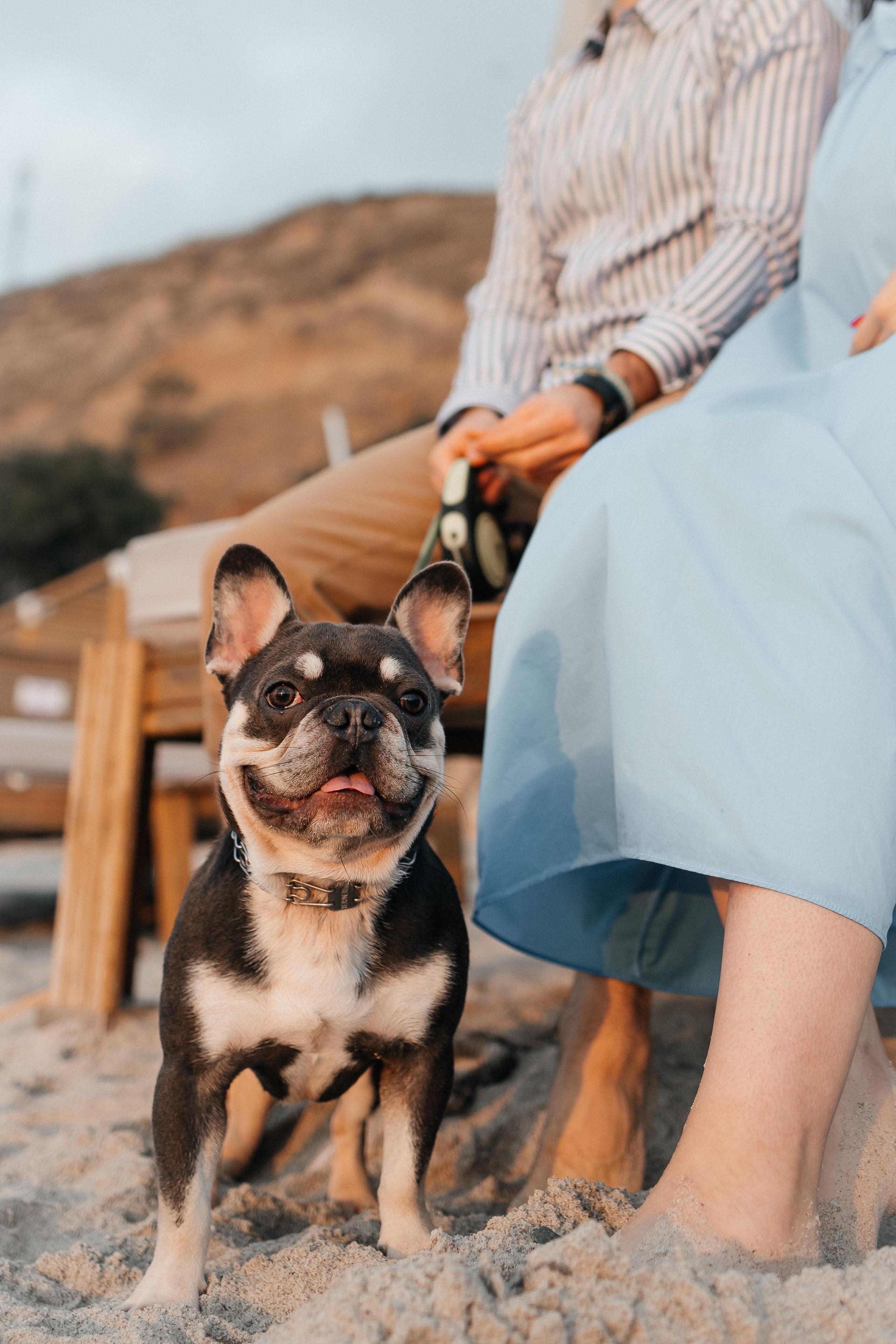 Еля & Олексій. Весільний та сімейний фотограф Одеса