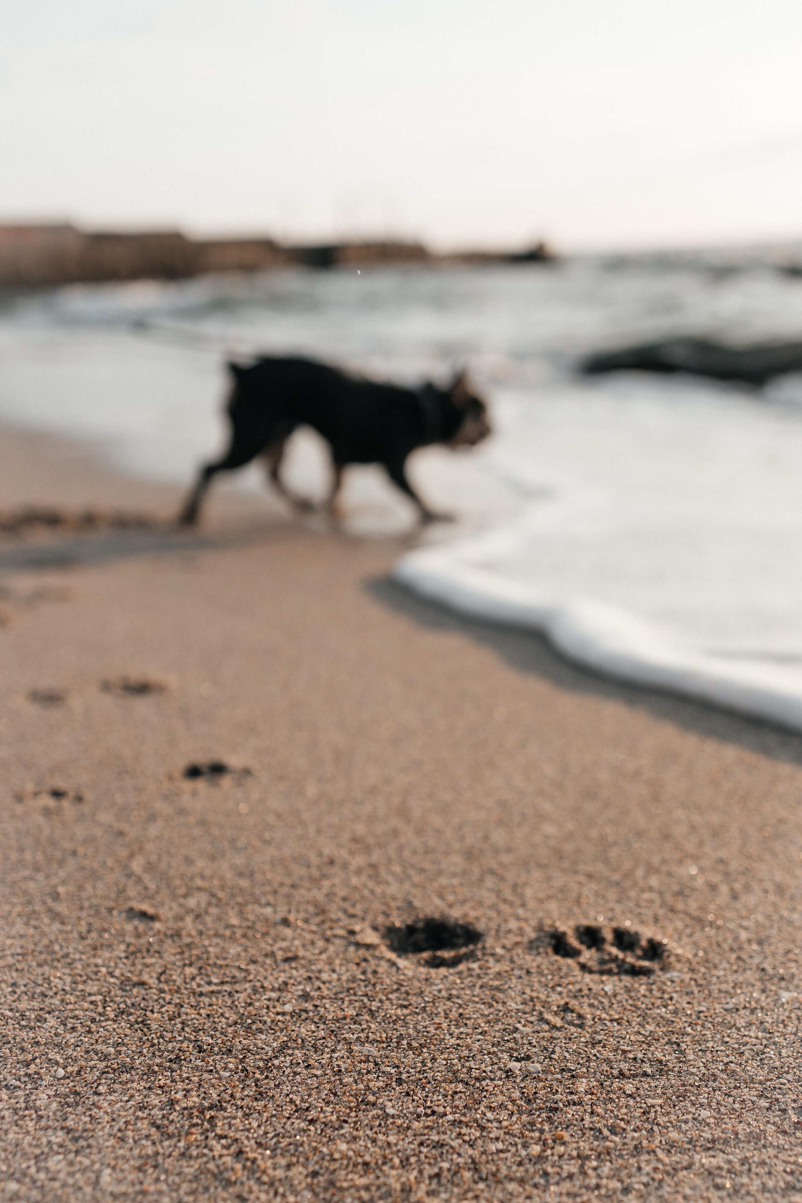 Еля & Олексій. Весільний та сімейний фотограф Одеса