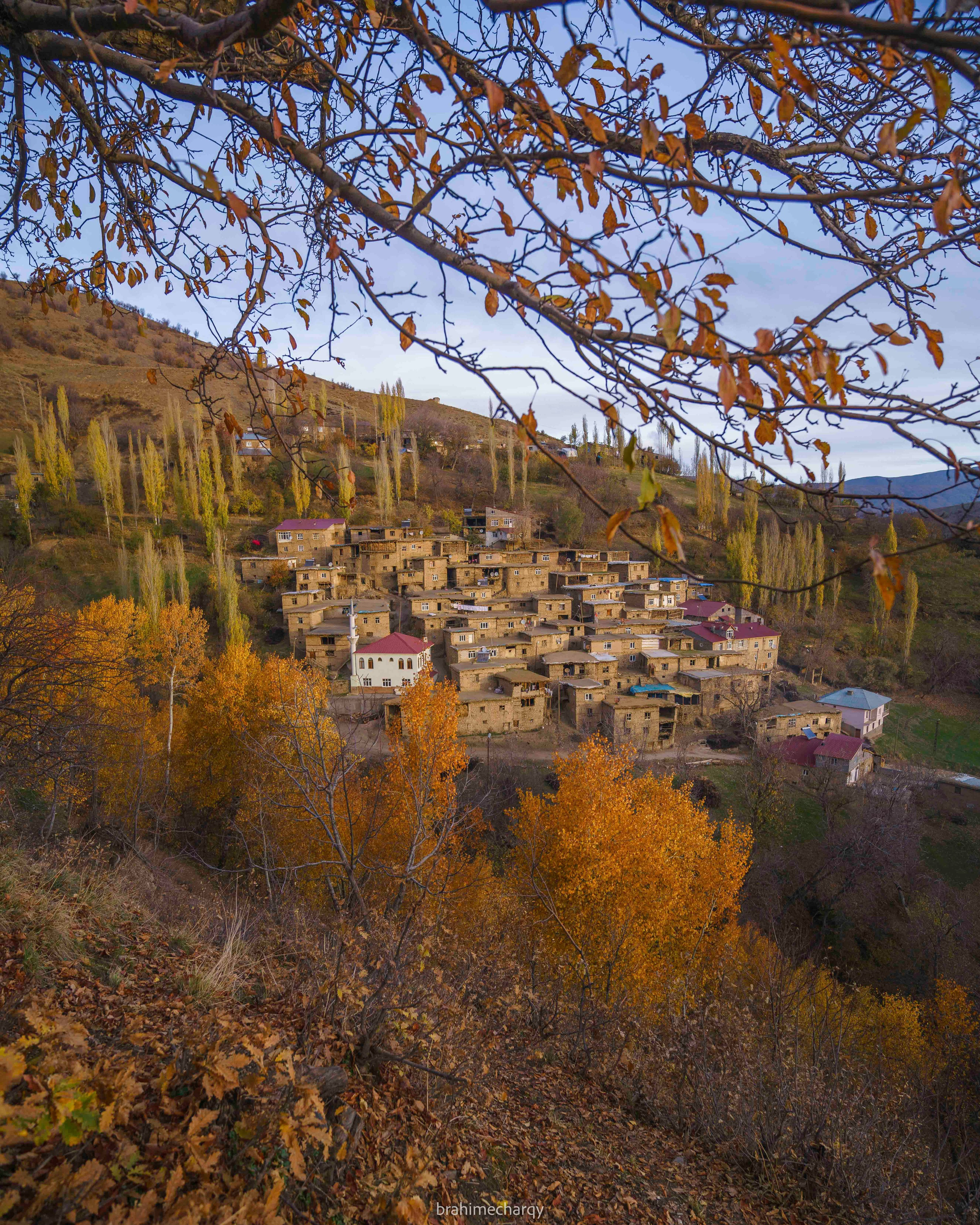 Фото. Брахим — фотограф