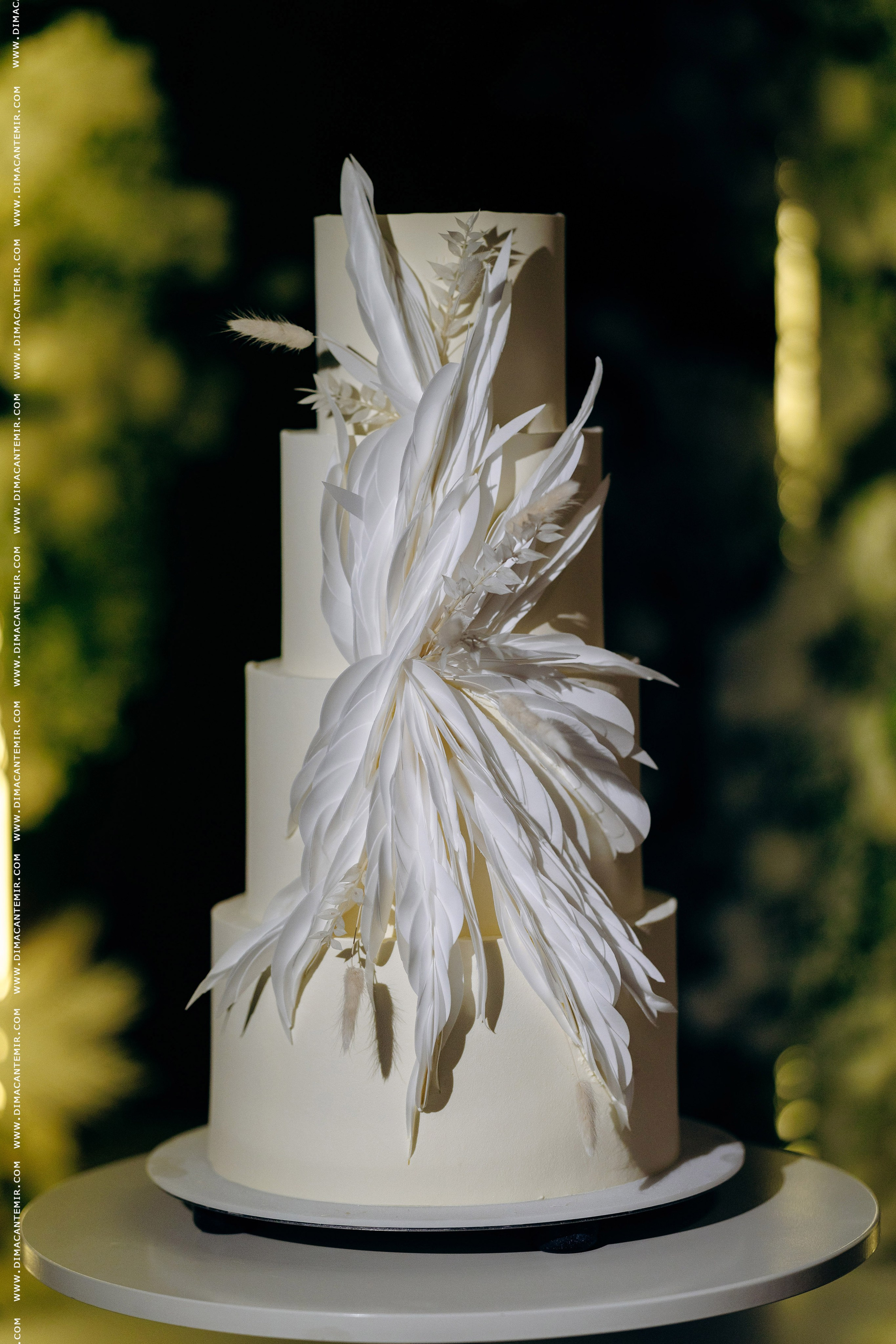 MIHAIL + SABINA | Grand Élysée. Свадебный фотограф Молдова Кишинёв