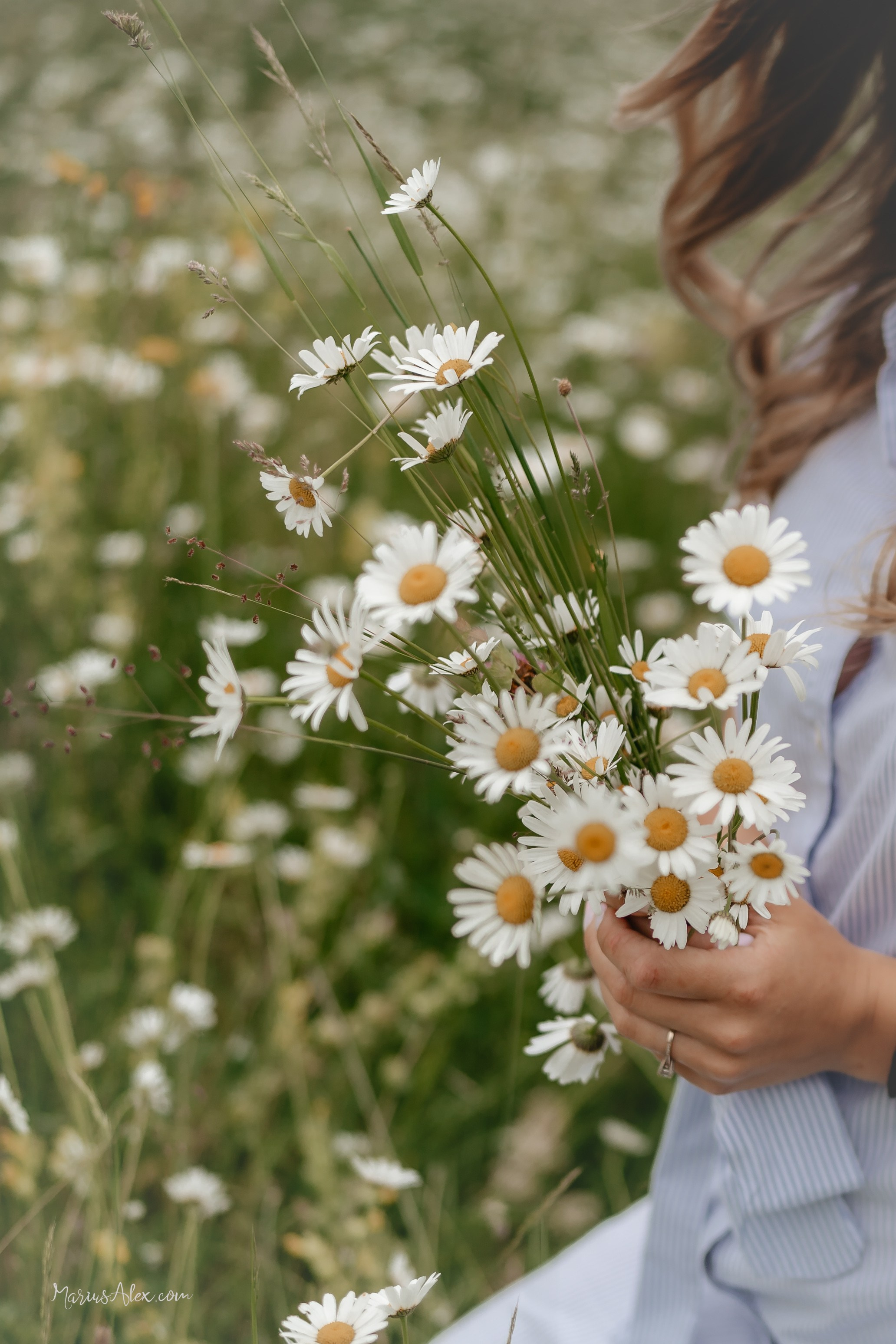 Andreea & Cosmin - O superba sedinta foto. Marius Alex fotograf de eveniment si portret din Suceava