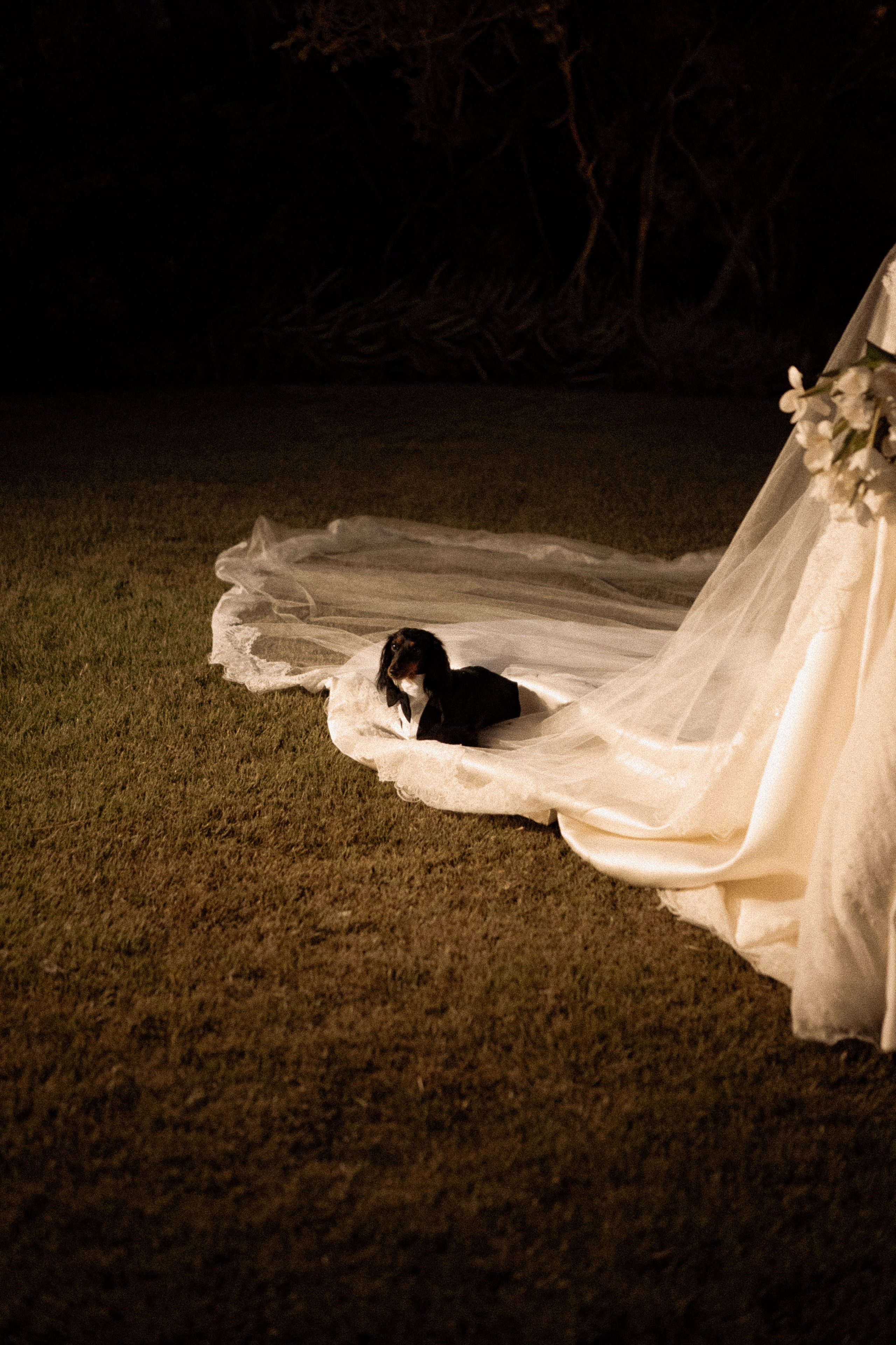 Amanda & Gustavo | Casamento. Congiu Wedding