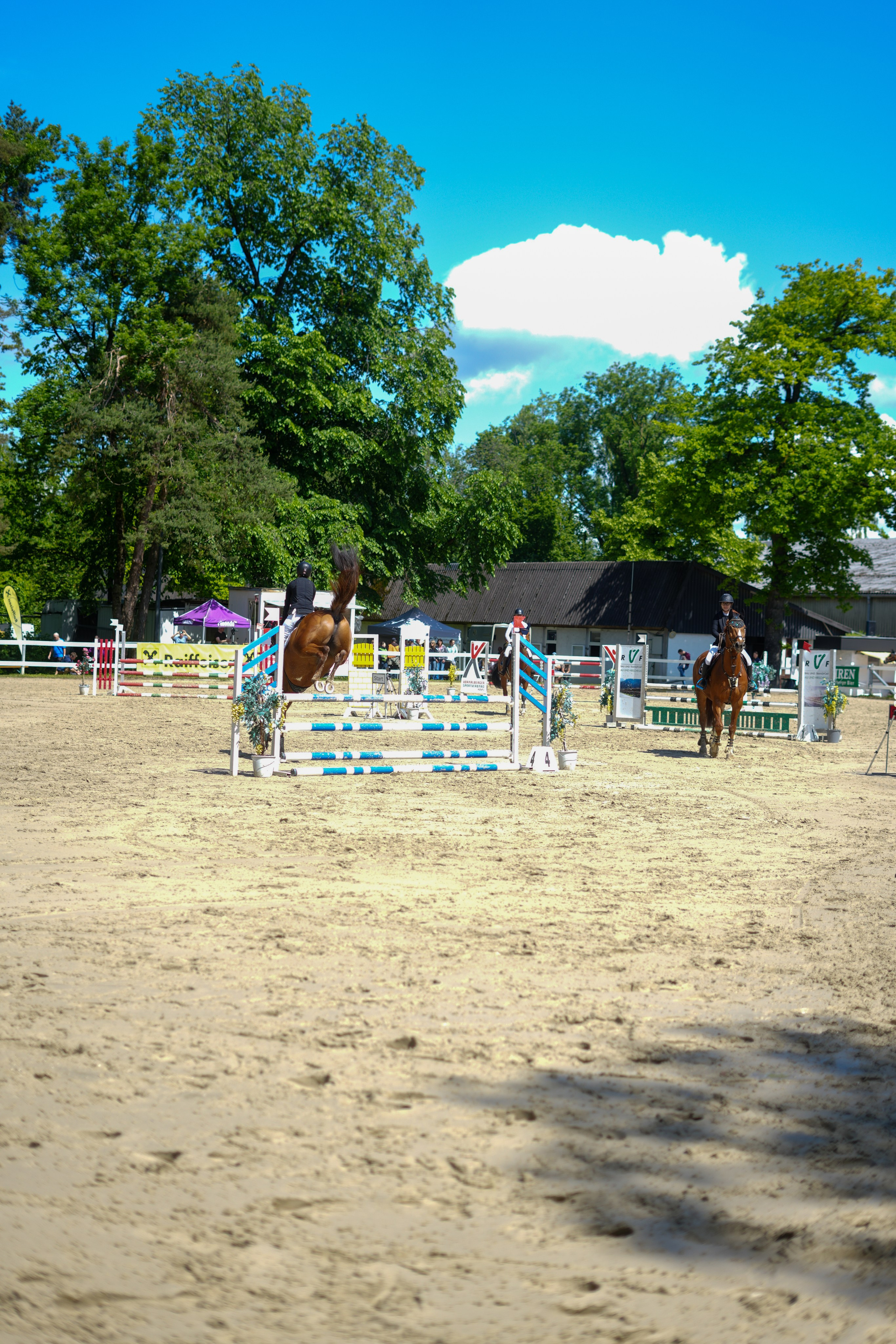 Equestrian Competition