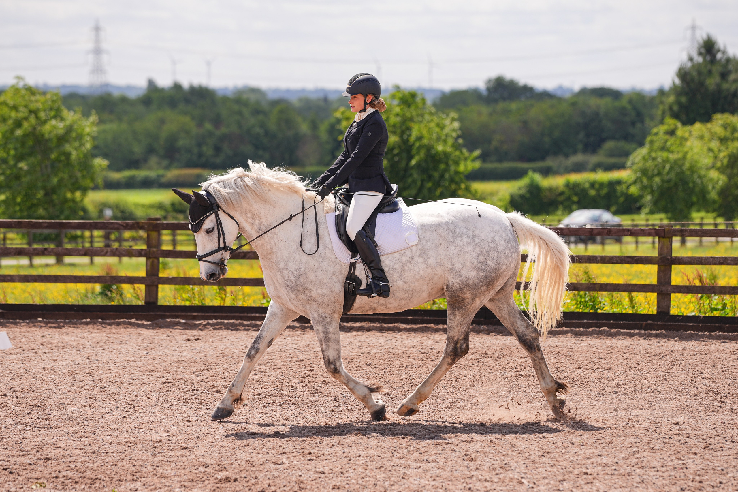 Dressage. Leicestershire Equine Photography by El | Authentic Equine Portraits & Events