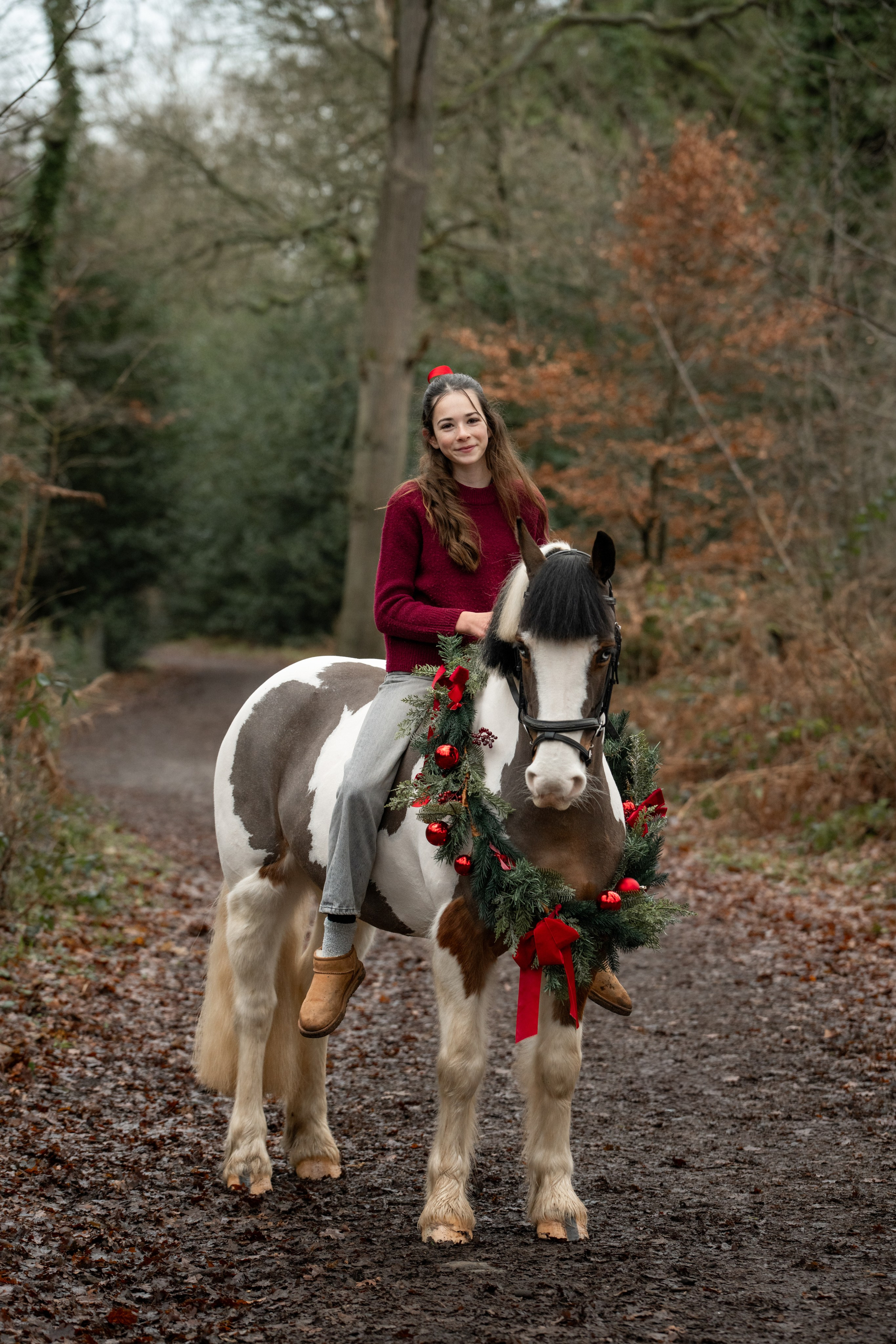 Equine Photography Portfolio | Leicestershire Horse Portrait Photographer. Leicestershire Equine Photography by El | Authentic Equine Portraits & Events