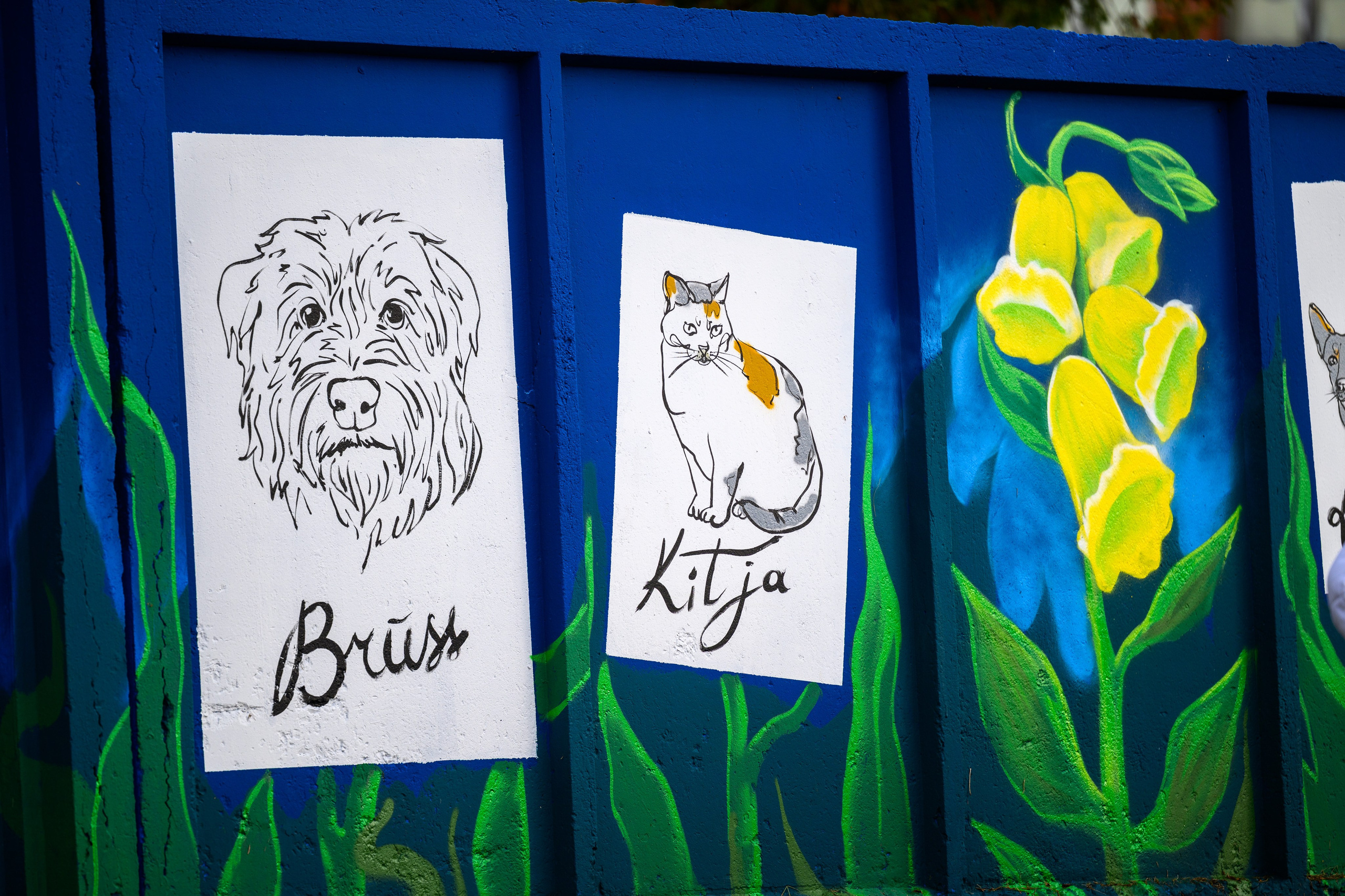 Rēzeknes dzīvnieku patversmes izglesnotās sienas atklāšana. Ritvars Pujats Emotion Photographer