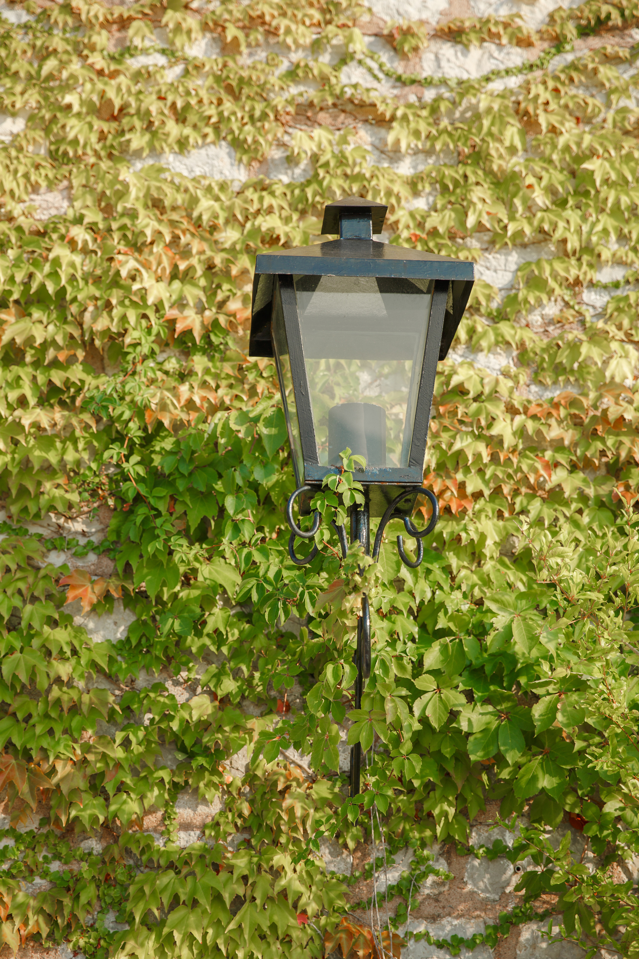 Фотосессия в Аман Резорт Свети-Стефан в Черногории