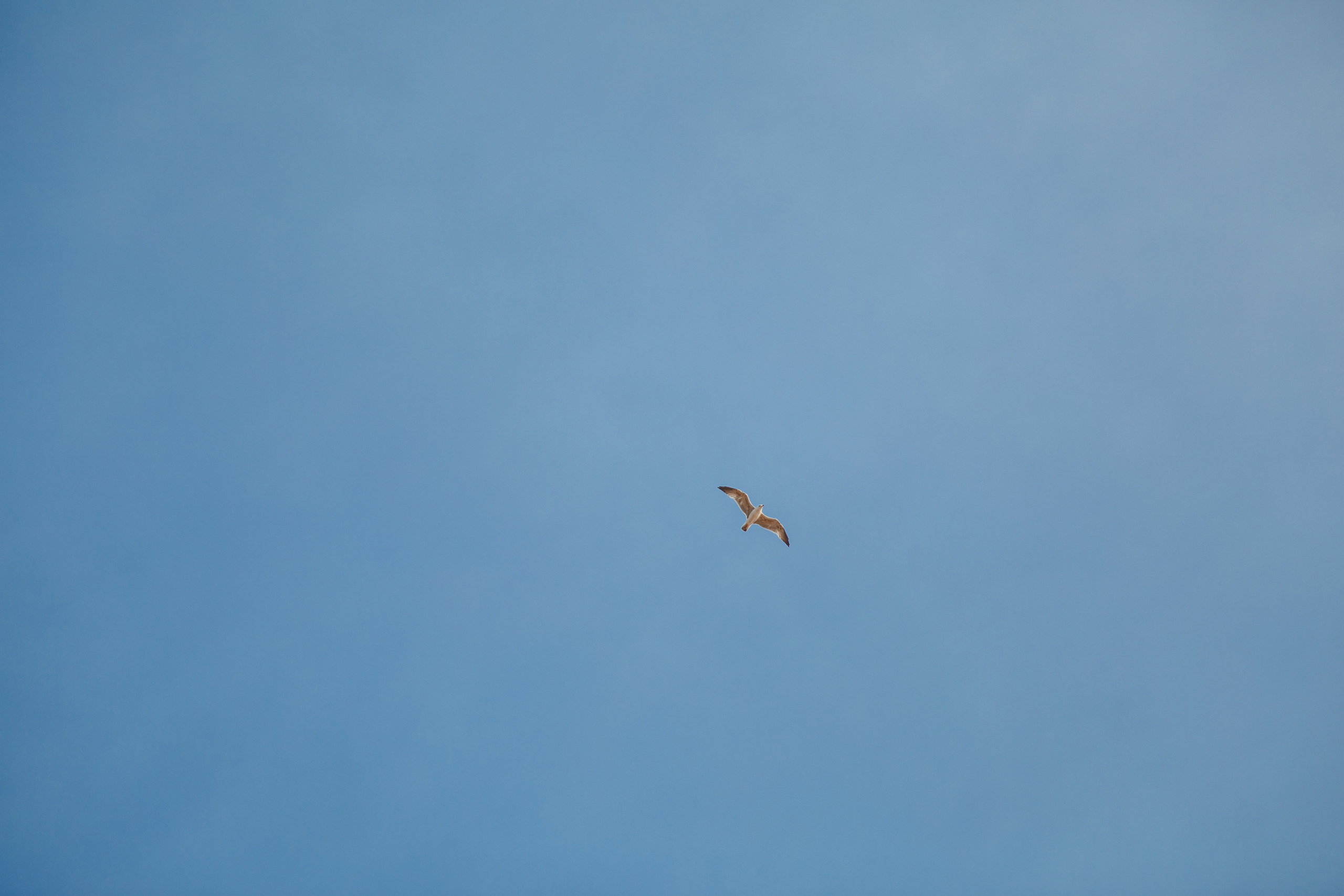 Фотосессия в Аман Резорт Свети-Стефан в Черногории