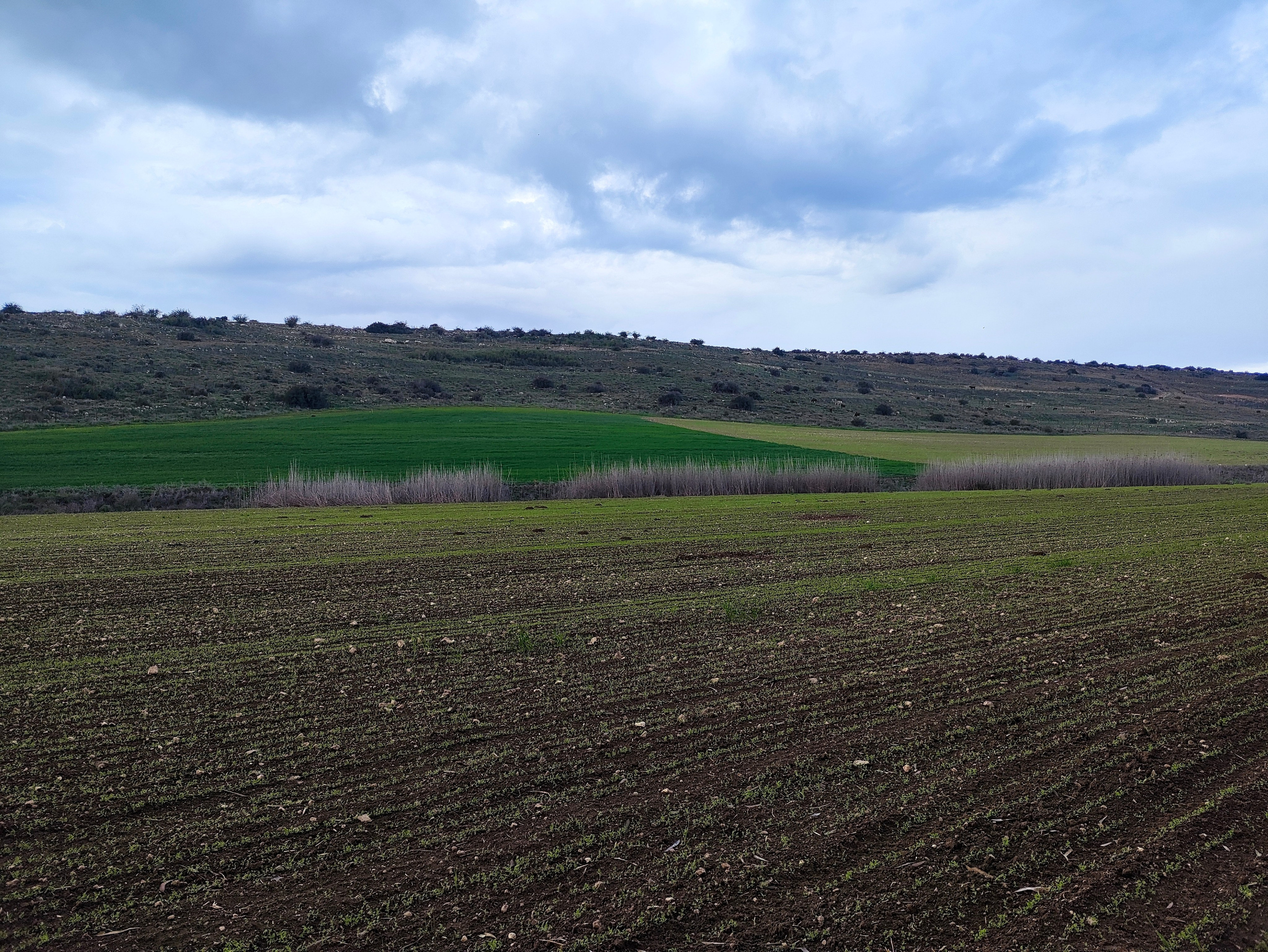 Аутентичный поход — Бейт-Гуврин | Клуб реконструкции Нортман. КРиС «Нортман»