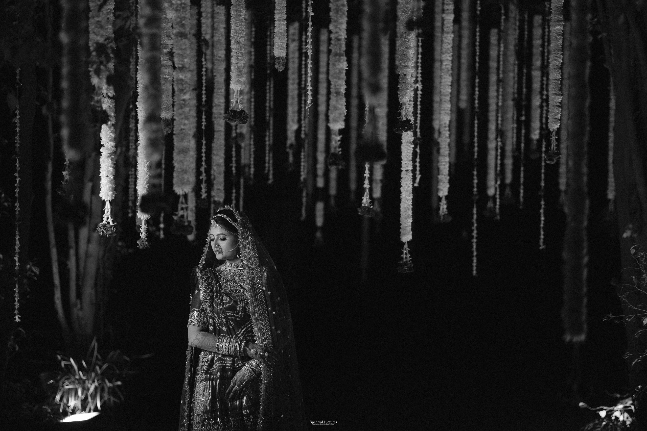 Tejas & Roopa | A Degree in Love, Certified by Marriage