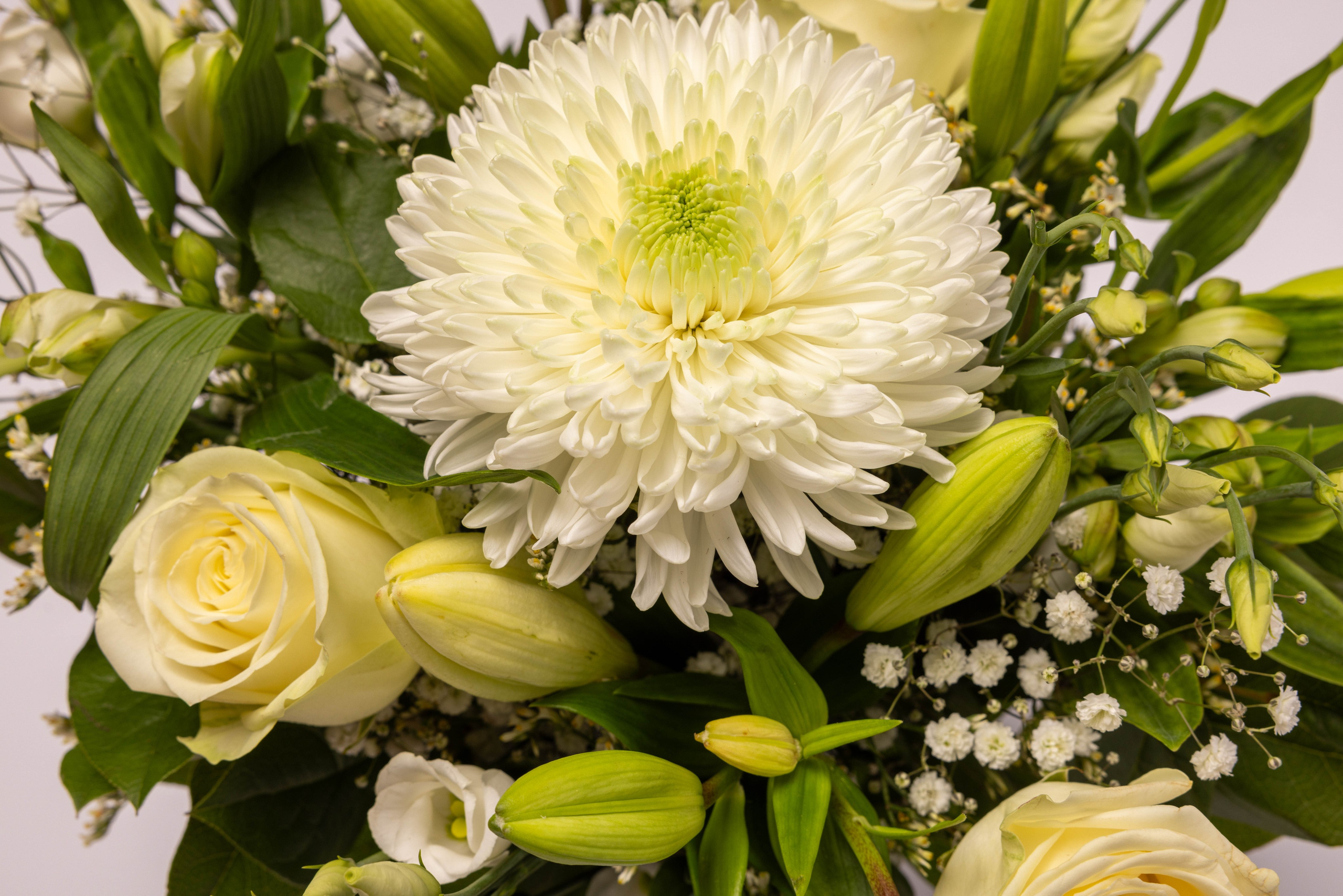 WEBSHOP BLOMSTERBUTIK. Fotograf Aarhus | Portrætfoto Århus | Flotte billeder