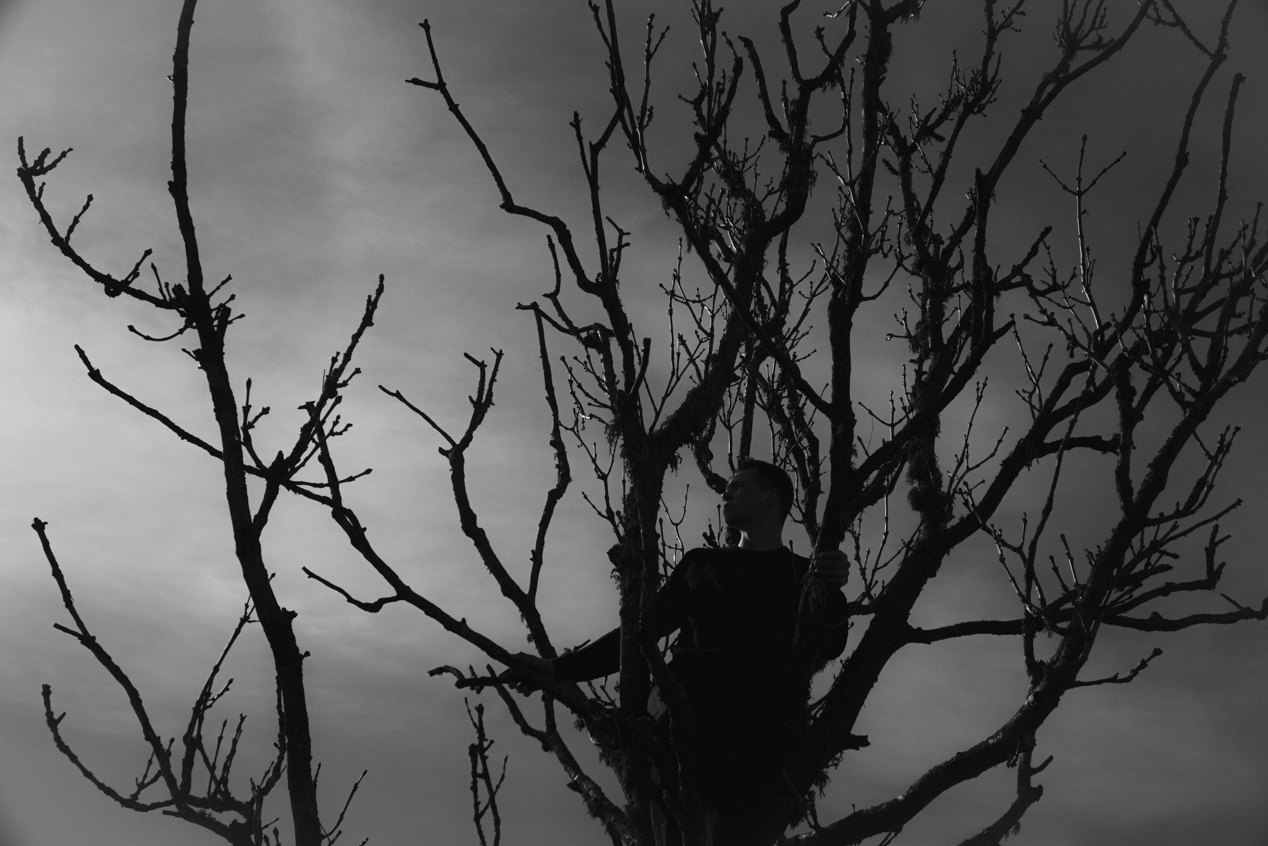 Aleksander. Meeste ja naiste fotograaf Tallinnas Anna Sipari