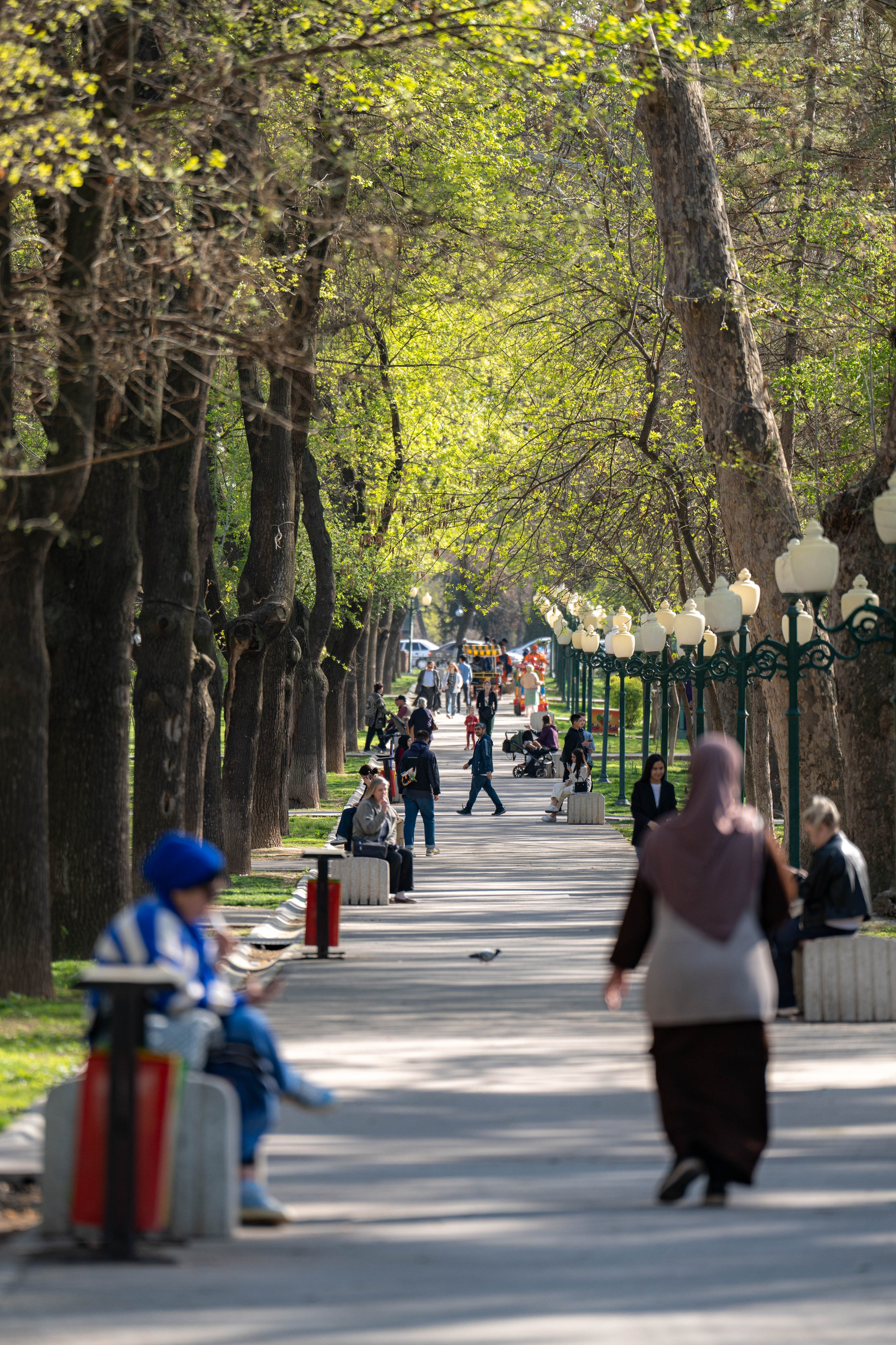 Весенний вайб Ташкента. Георгий Намазов | Фотограф в Ташкенте