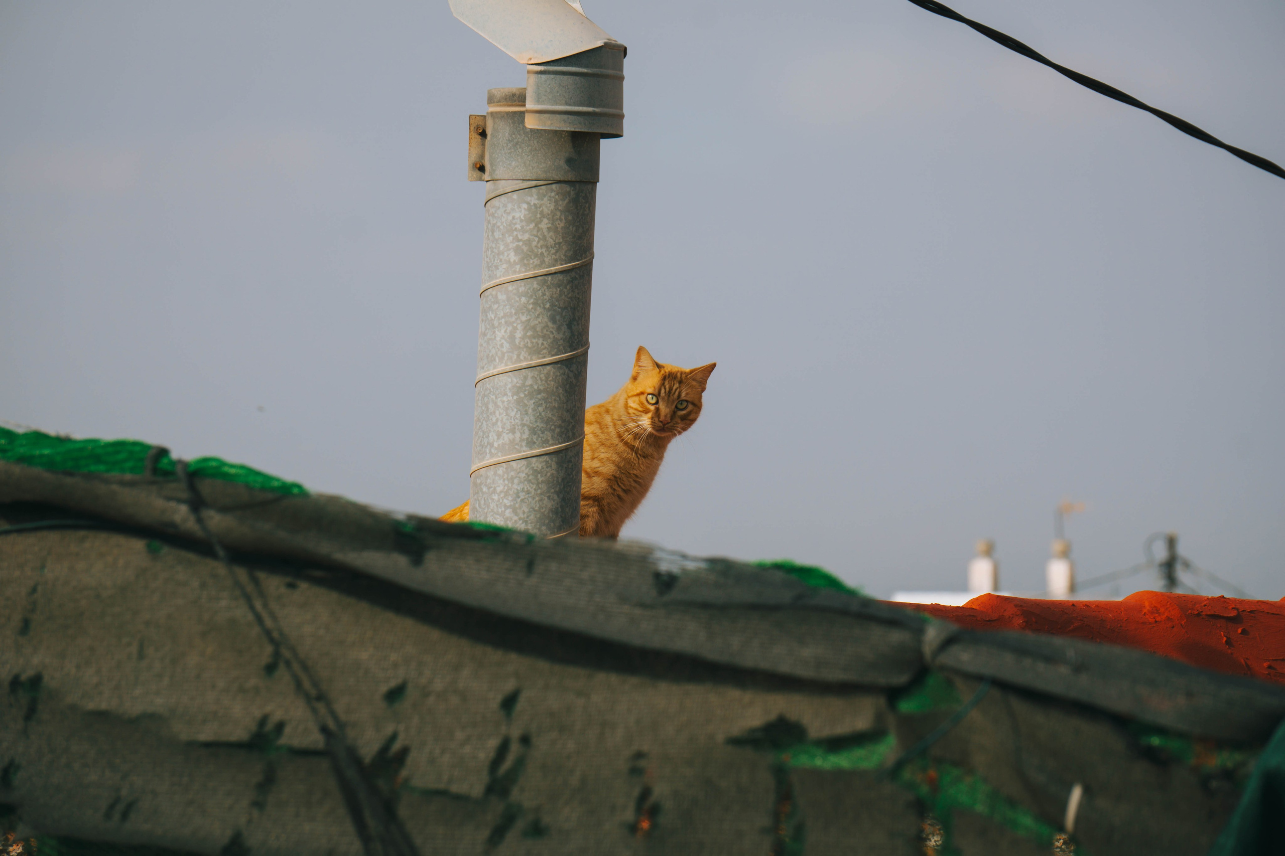 Rojales. Alba del Norte Studio