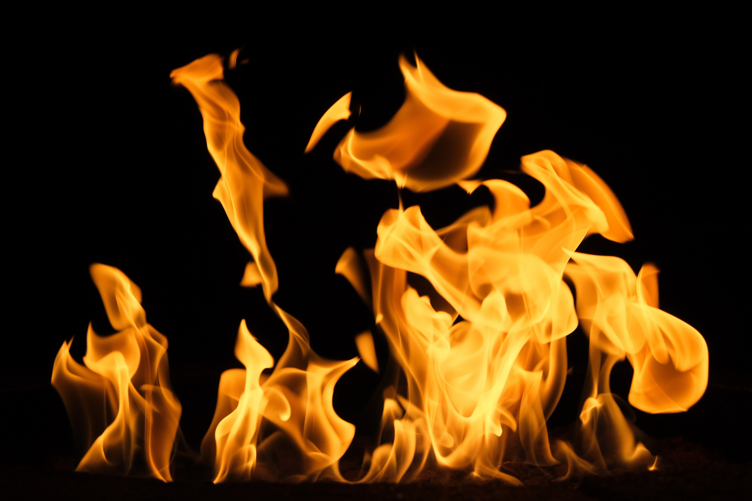 VATRA. Reportage concert portrait photography in the San Francisco Bay Area