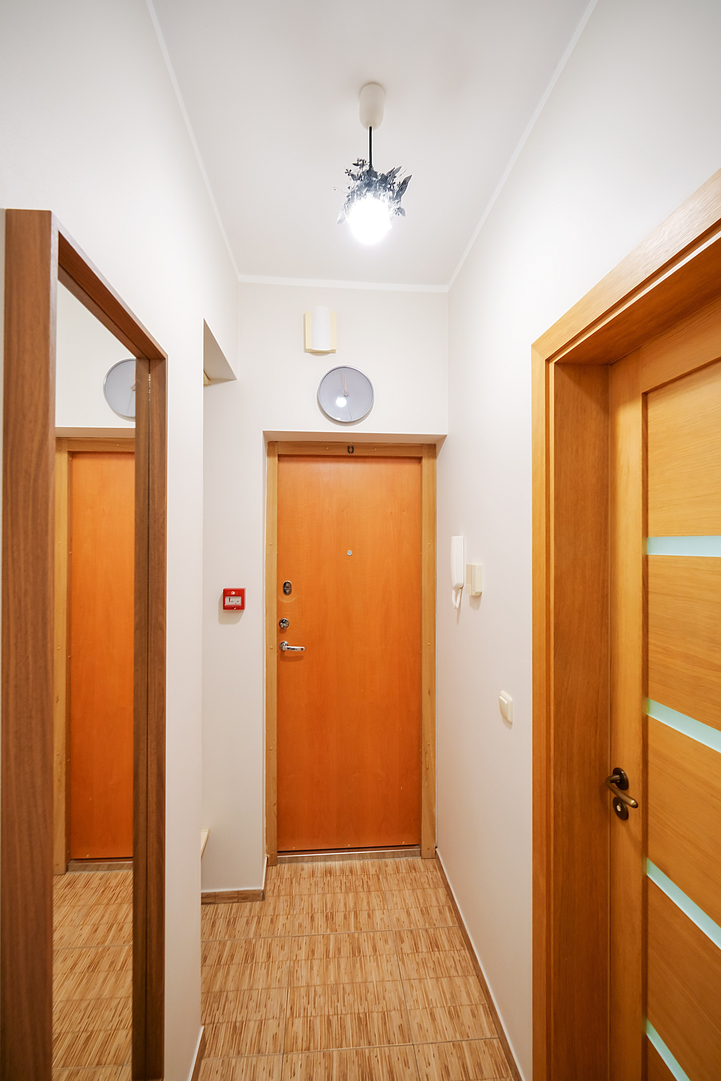 Aušros vartų. Elina Sapiega fotografė Vilniuje