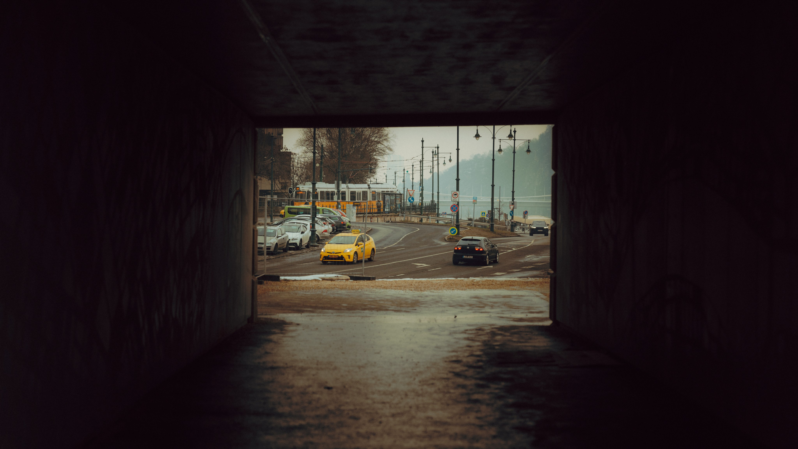 Budapest. Merabi Eminashvili