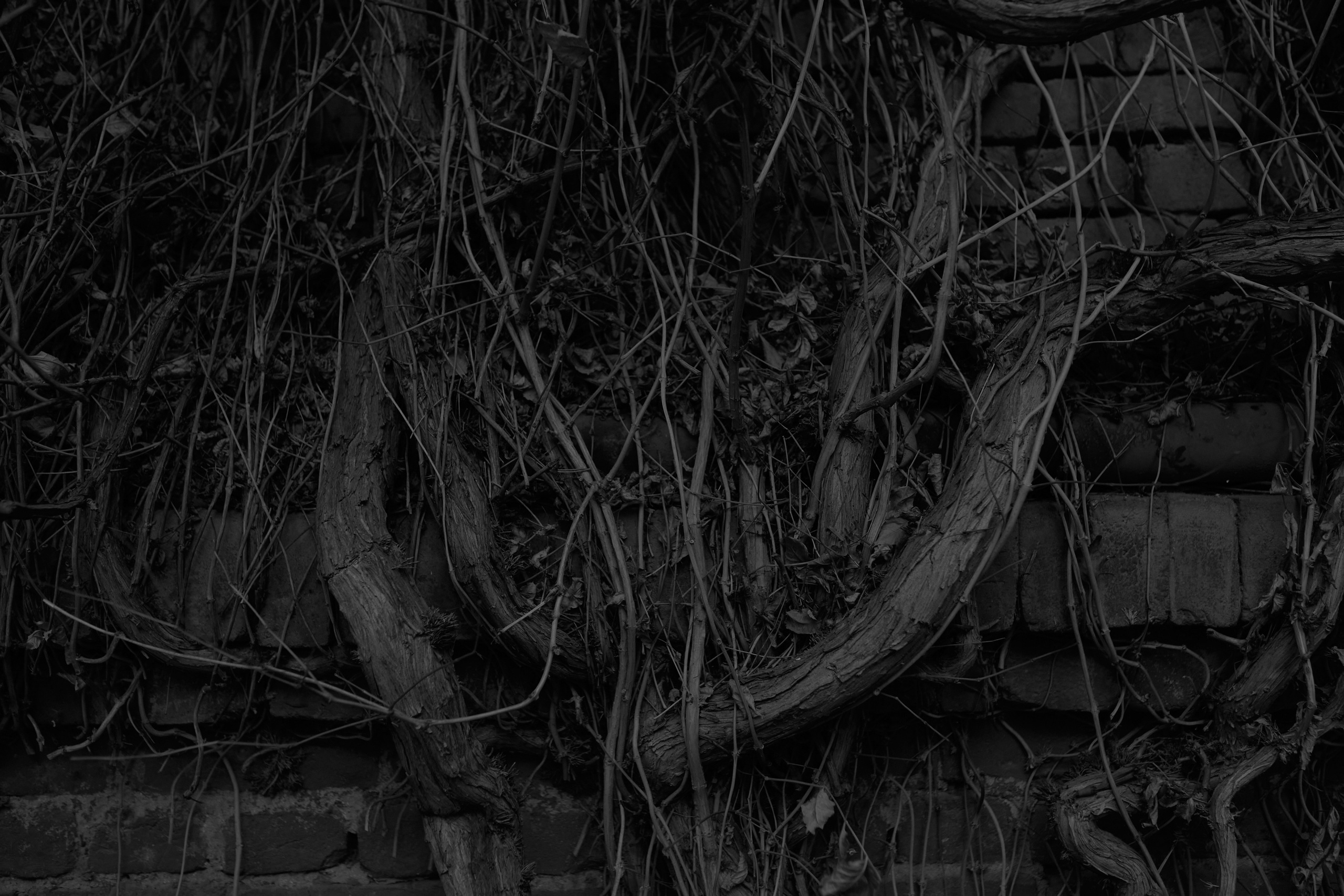 This is not your home. Visual artist