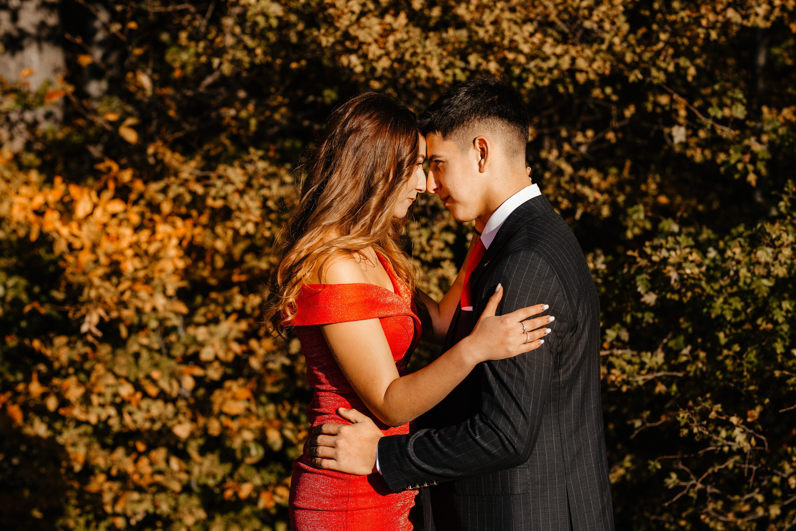 Majorat Stefan. Ionut Brehuescu — Fotograf