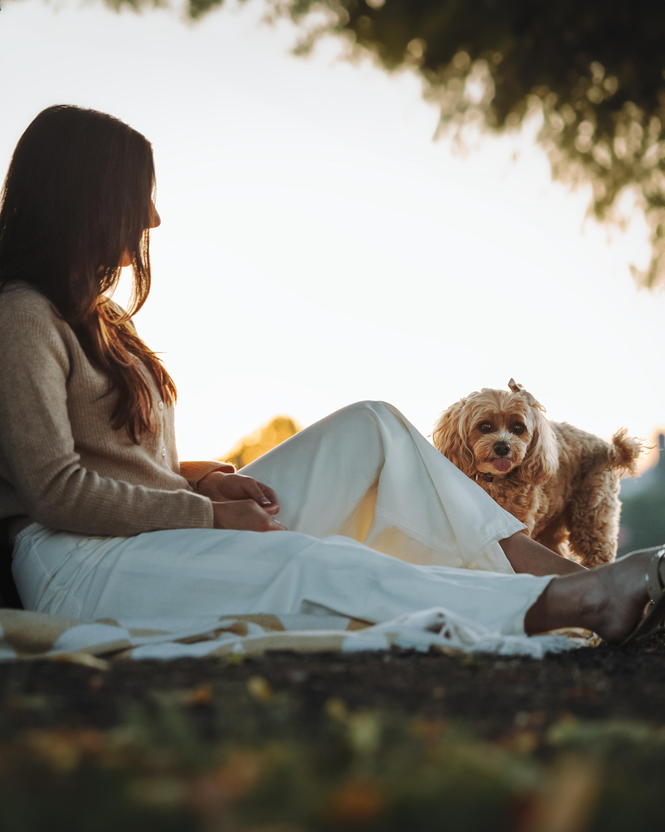 Sunny & Elizabeth. Pet Photographer Viktoriya Aleshenko