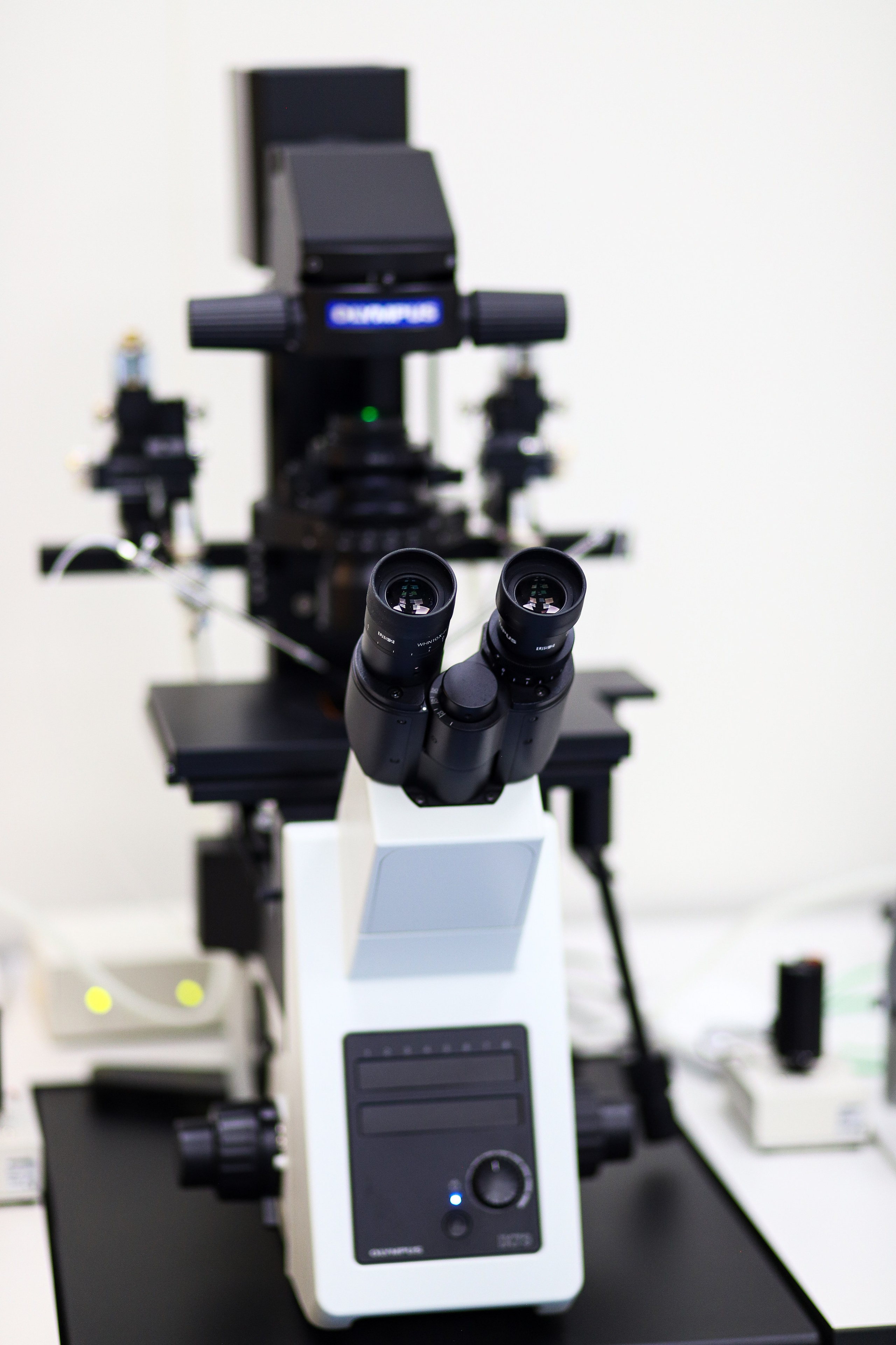 Business. Portrait and family photographer in Fort Collins Dania Gaisina