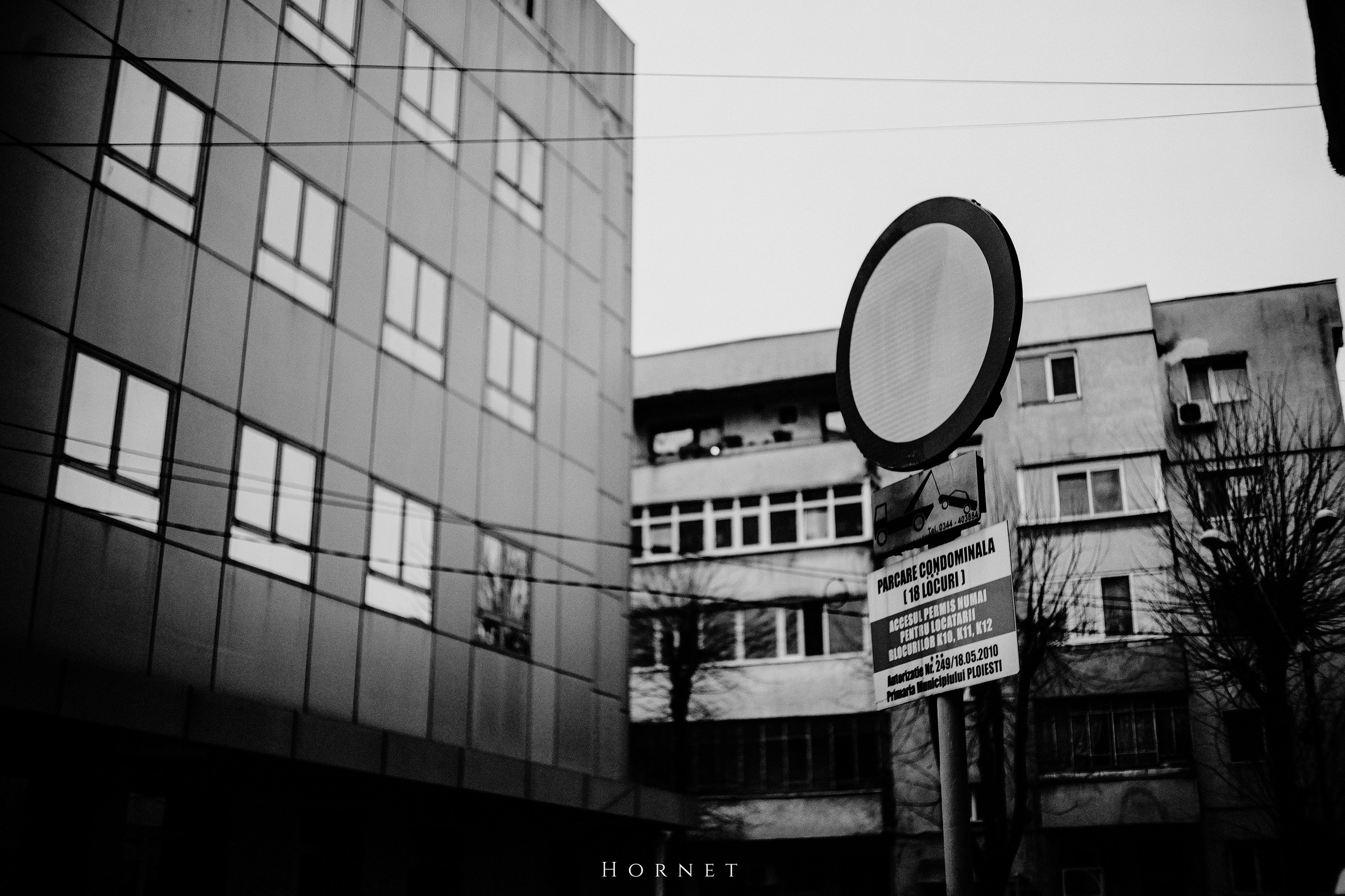 7.01.2025 Ploiesti | Romania. Hornetart