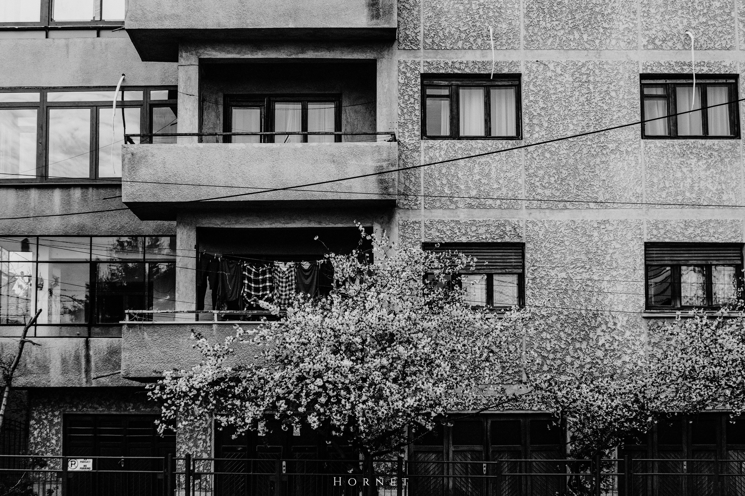 5.04.2025 Ploiesti | Romania. Hornetart