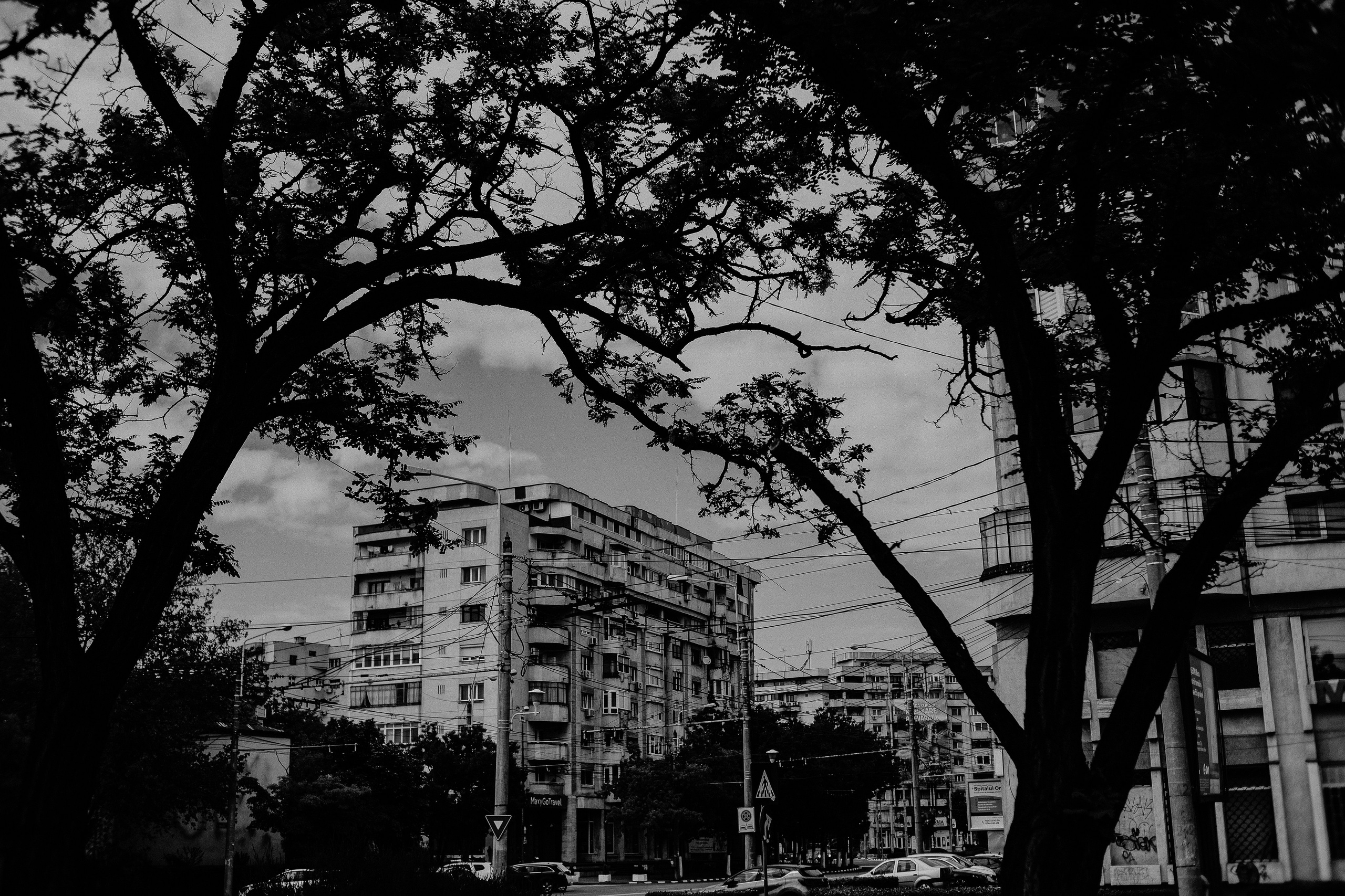 10.05.2025 Ploiesti | Romania. Hornetart
