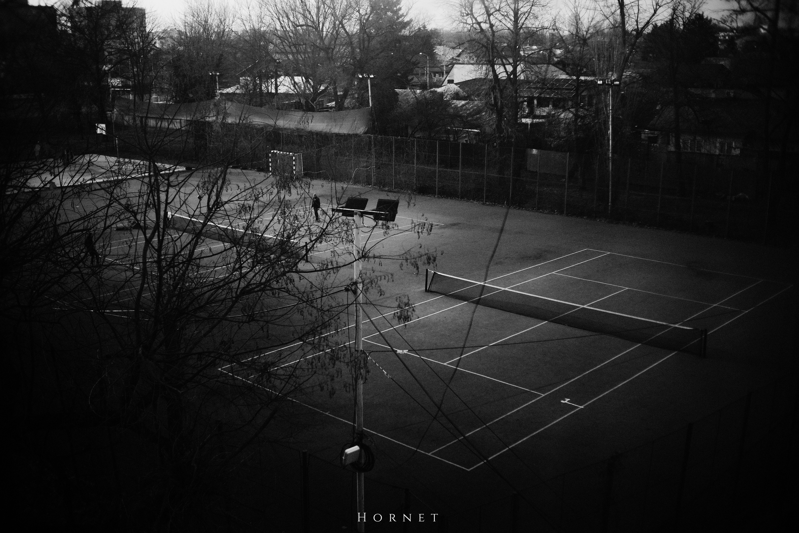 12.01.2025 Ploiesti | Romania. Hornetart