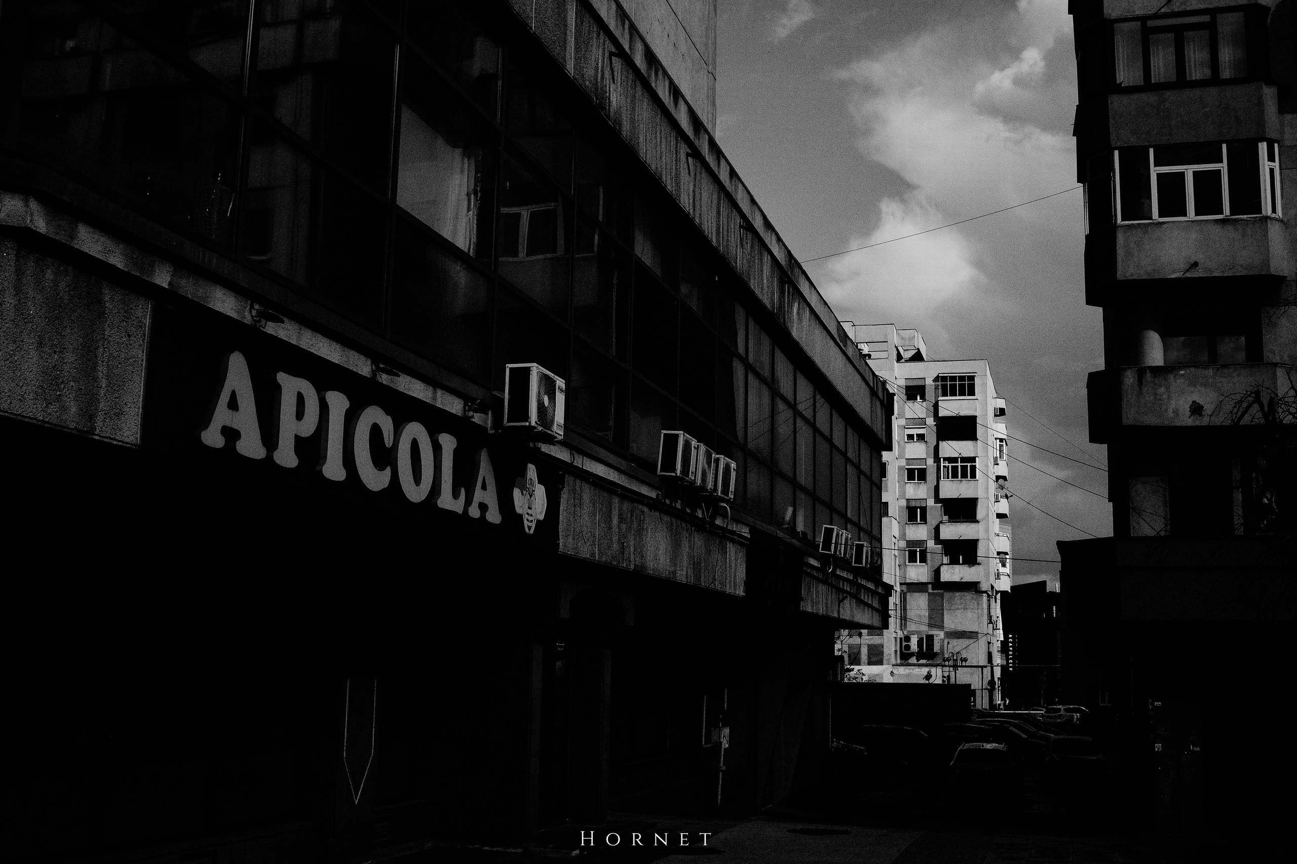 21.04.2025 Ploiesti | Romania. Hornetart