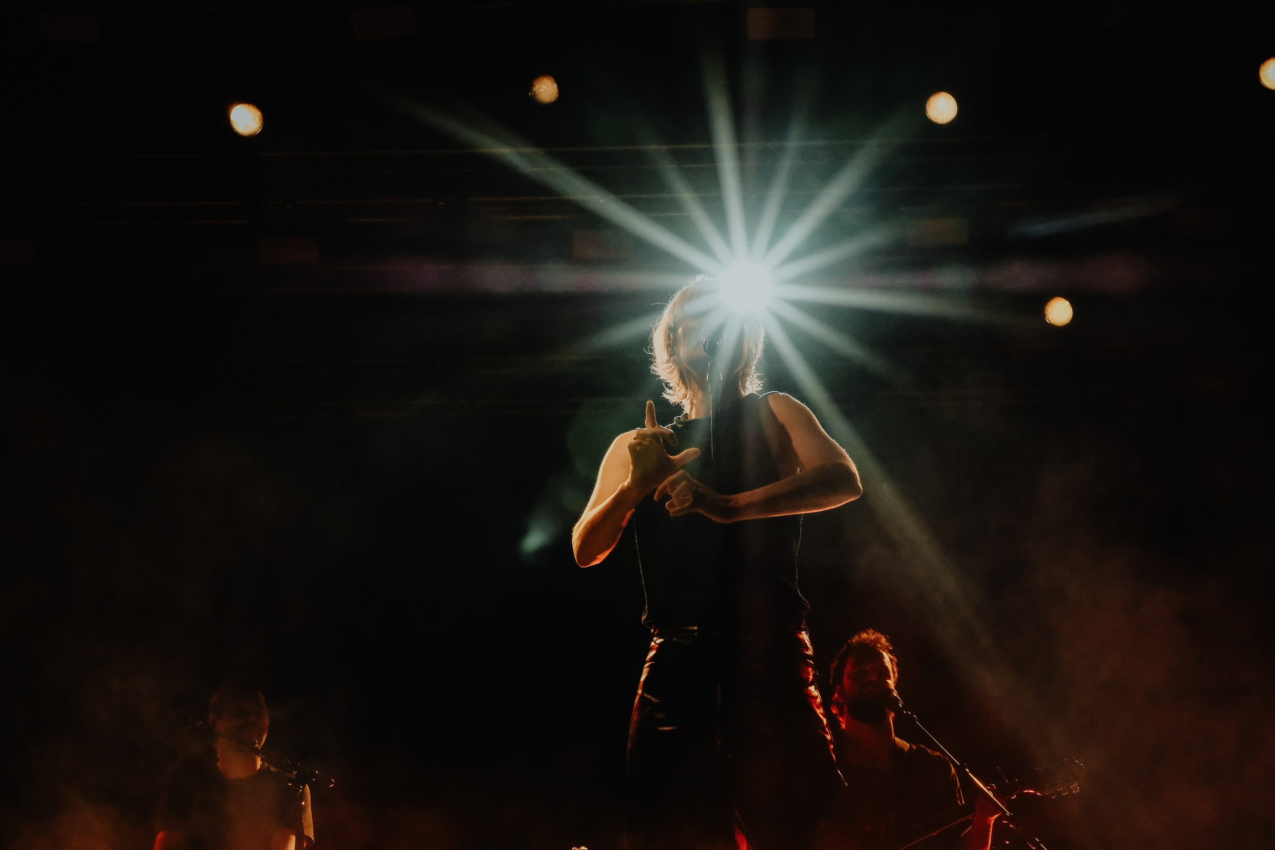 Hooverphonic. Hornetart