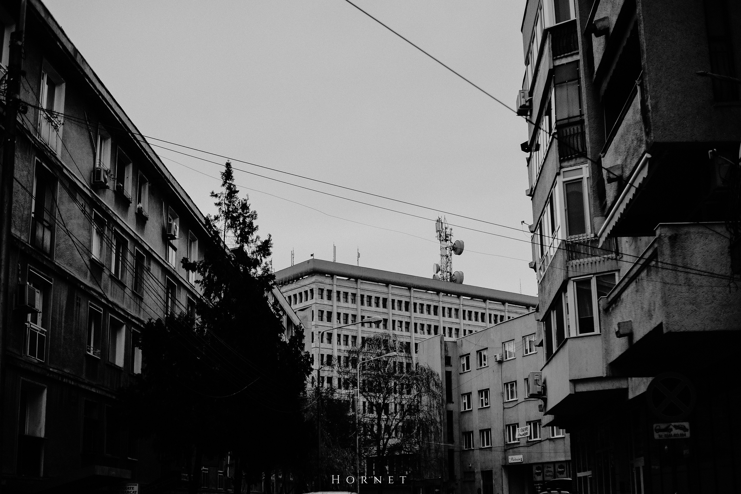 7.01.2025 Ploiesti | Romania. Hornetart