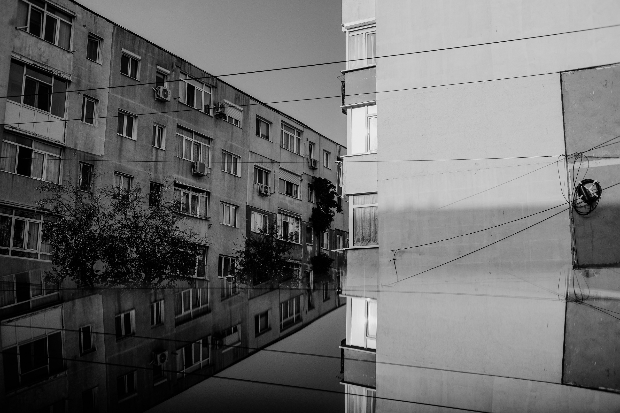 22.11.2025 Ploiesti | Romania. Hornetart