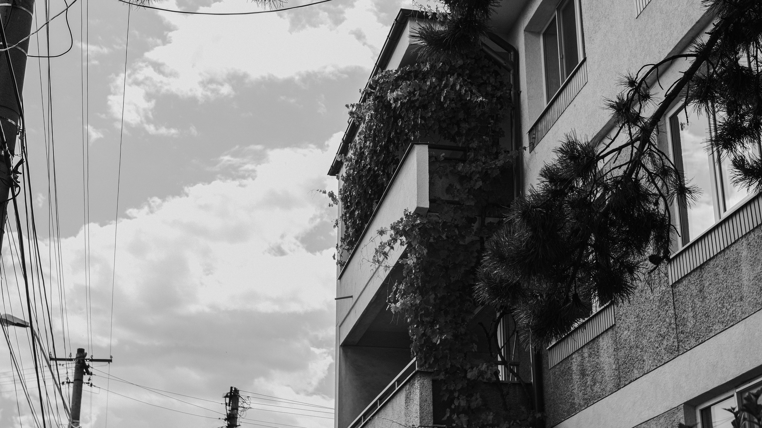 21.06.2025 Ploiesti | Romania. Hornetart