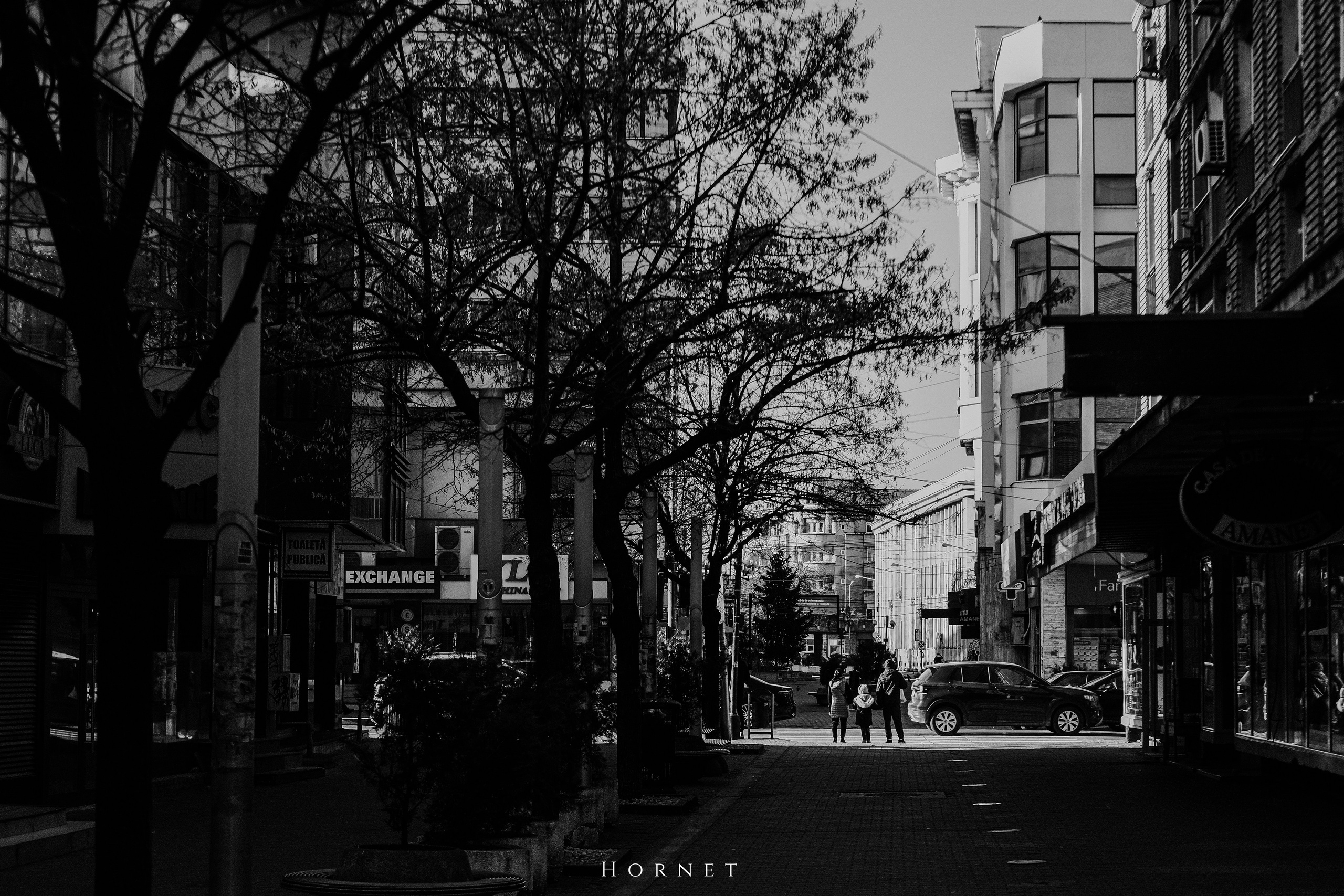14.03.2026 Ploiesti | Romania. Hornetart