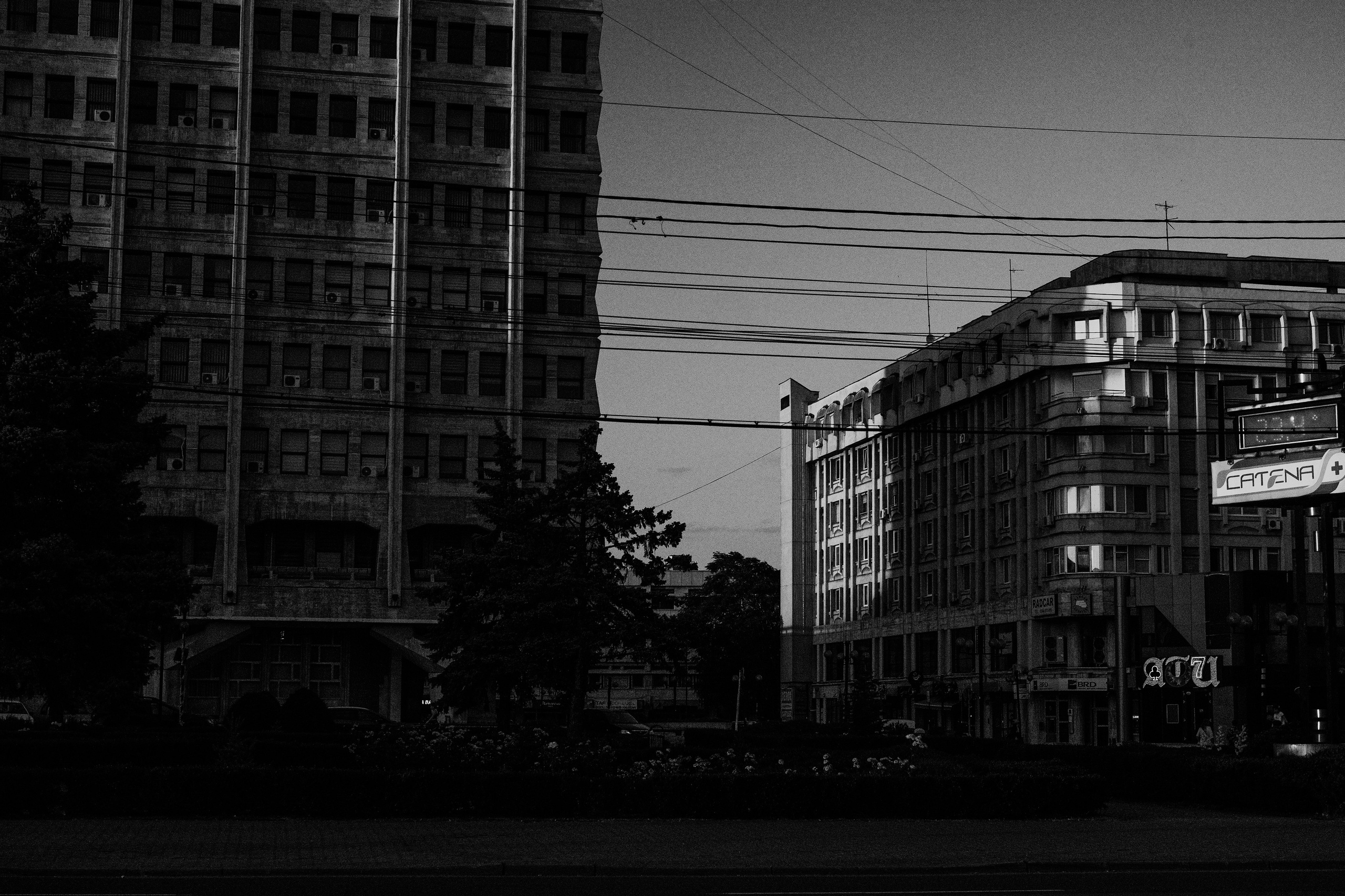21.06.2025 Ploiesti | Romania. Hornetart