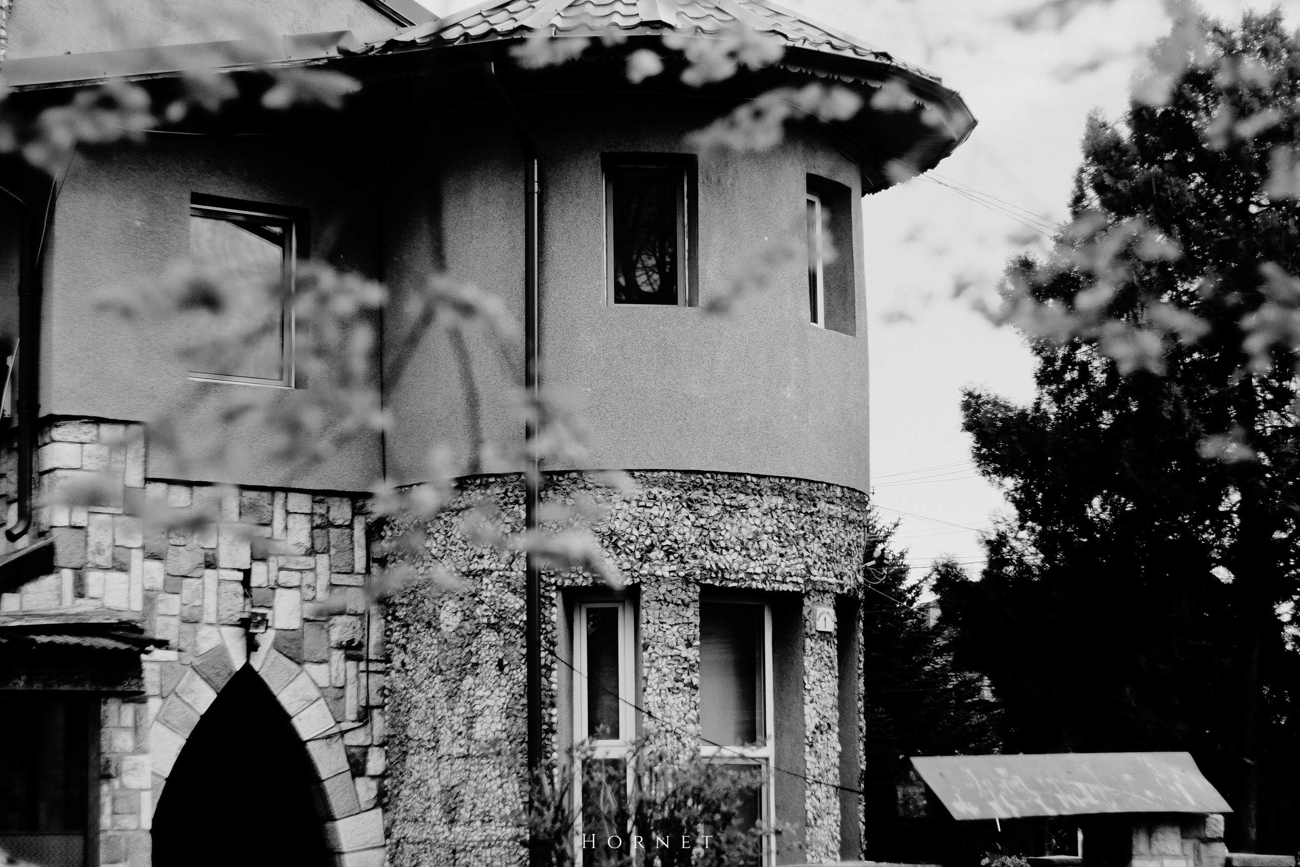 5.04.2025 Ploiesti | Romania. Hornetart