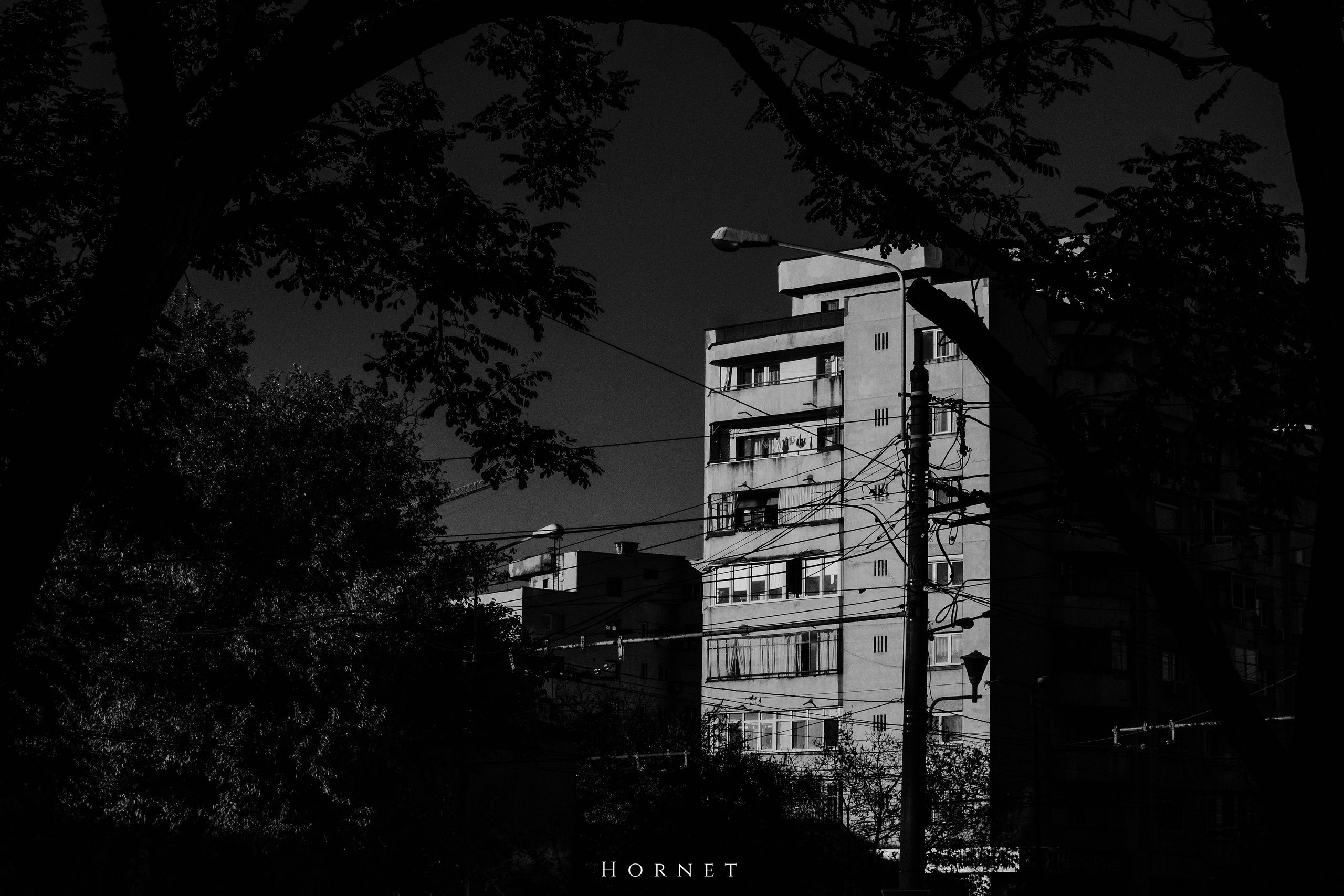 2.11.2025 Ploiesti | Romania. Hornetart