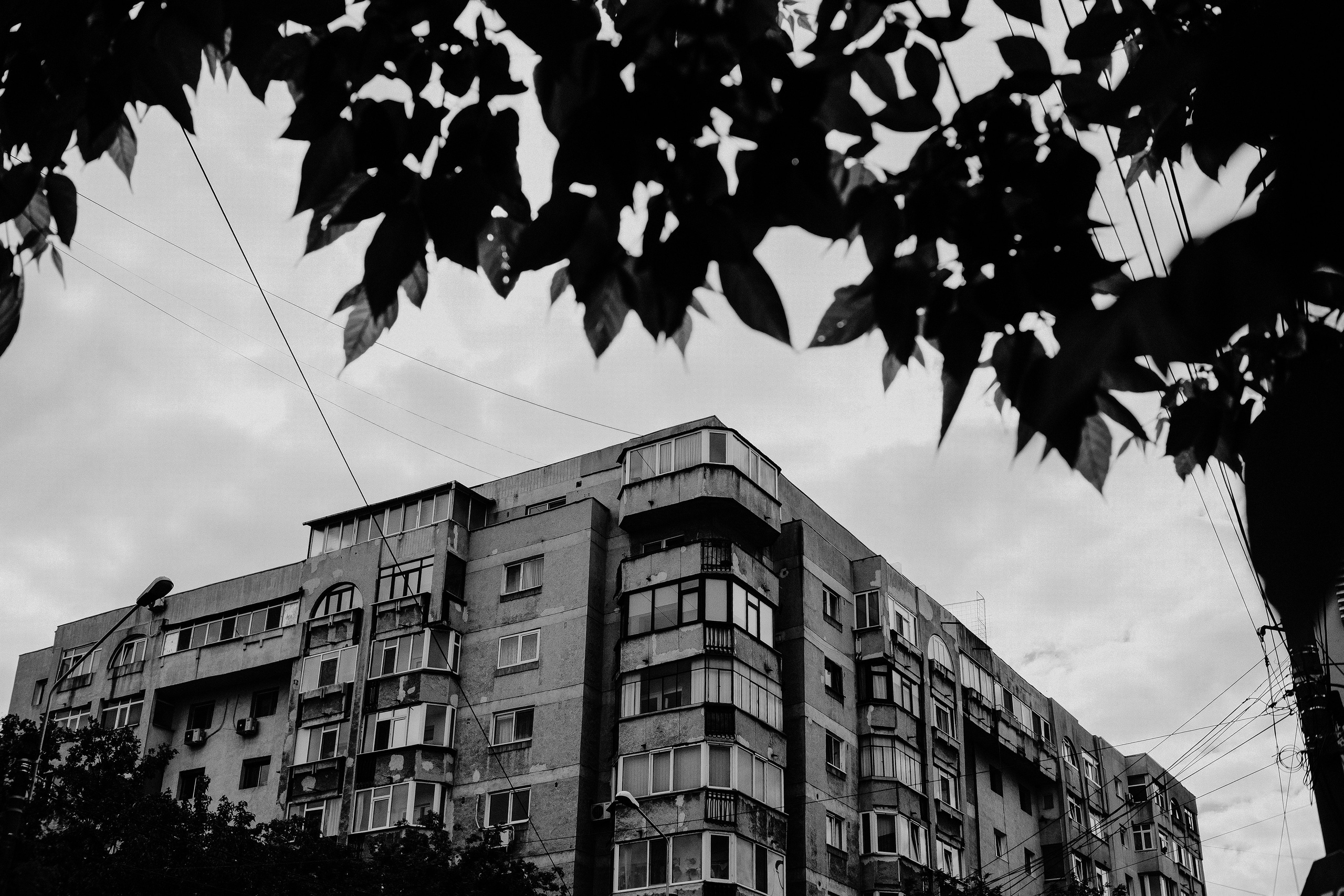 10.05.2025 Ploiesti | Romania. Hornetart