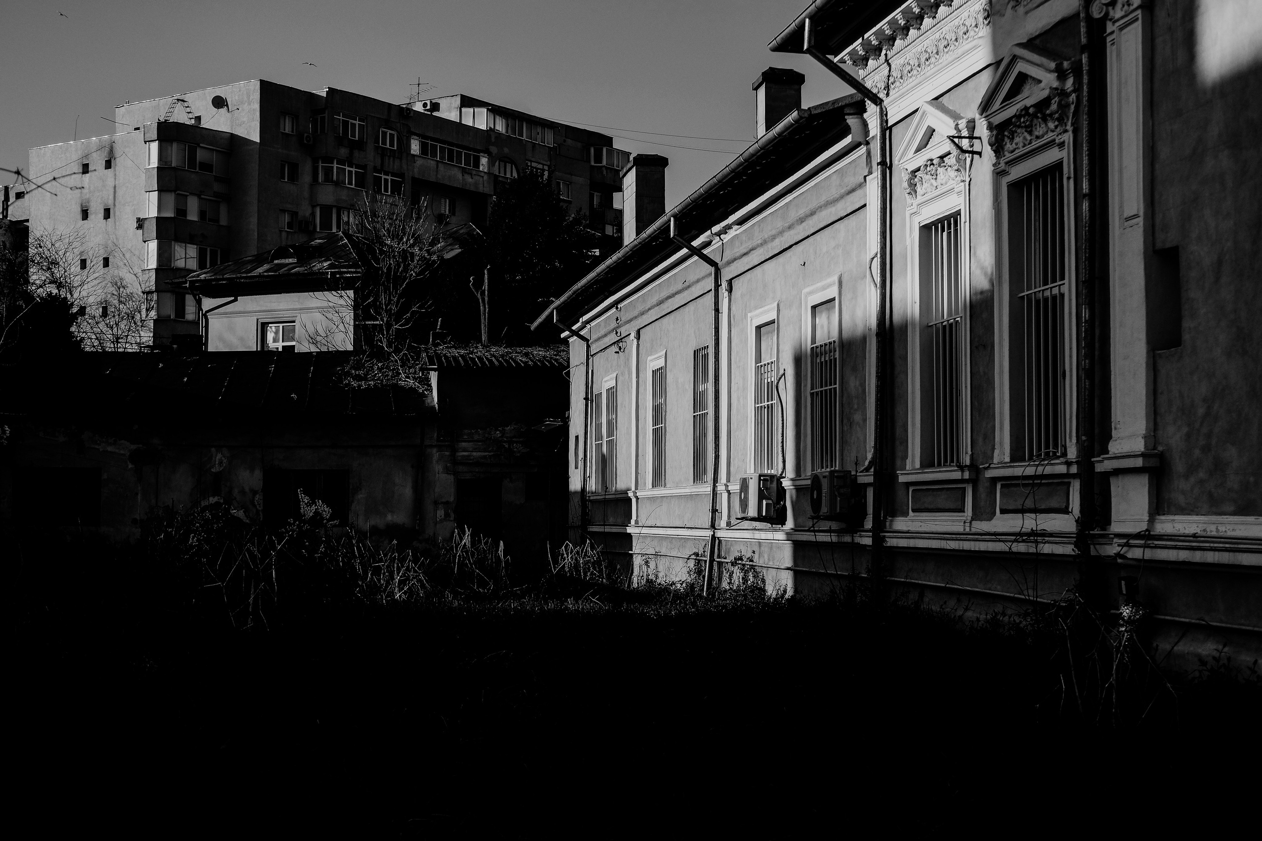 5.04.2026 Ploiesti | Romania. Hornetart