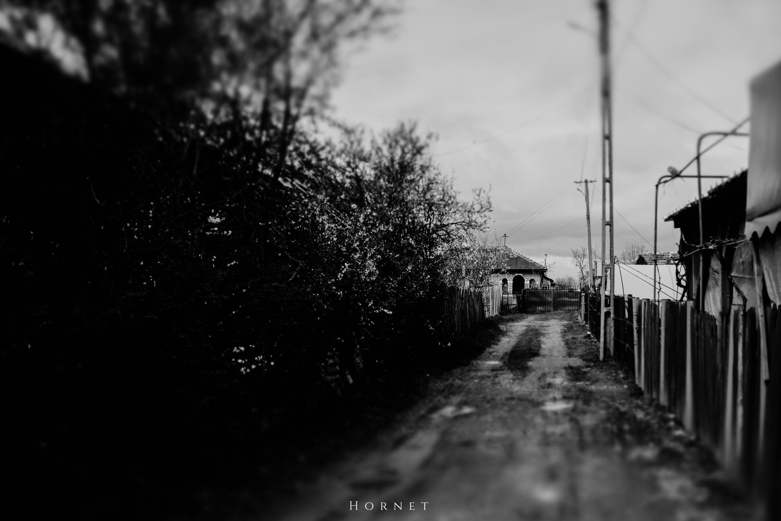 30.03.2025 Buzau | Romania. Hornetart