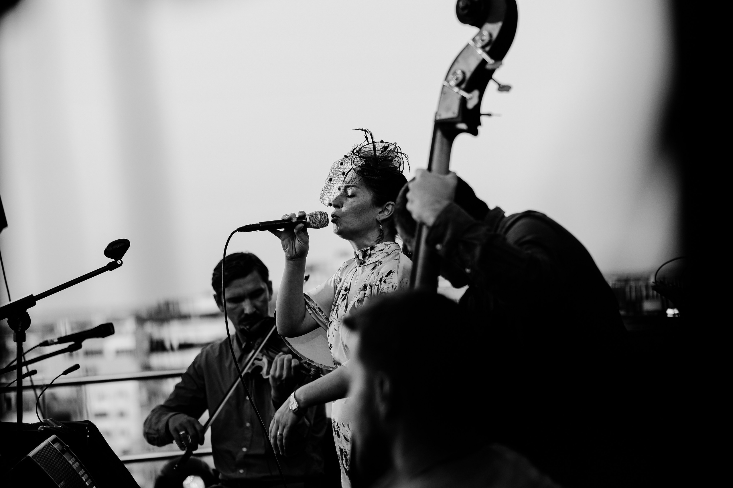 Luiza Zan & Jazzpar Trio. Hornetart
