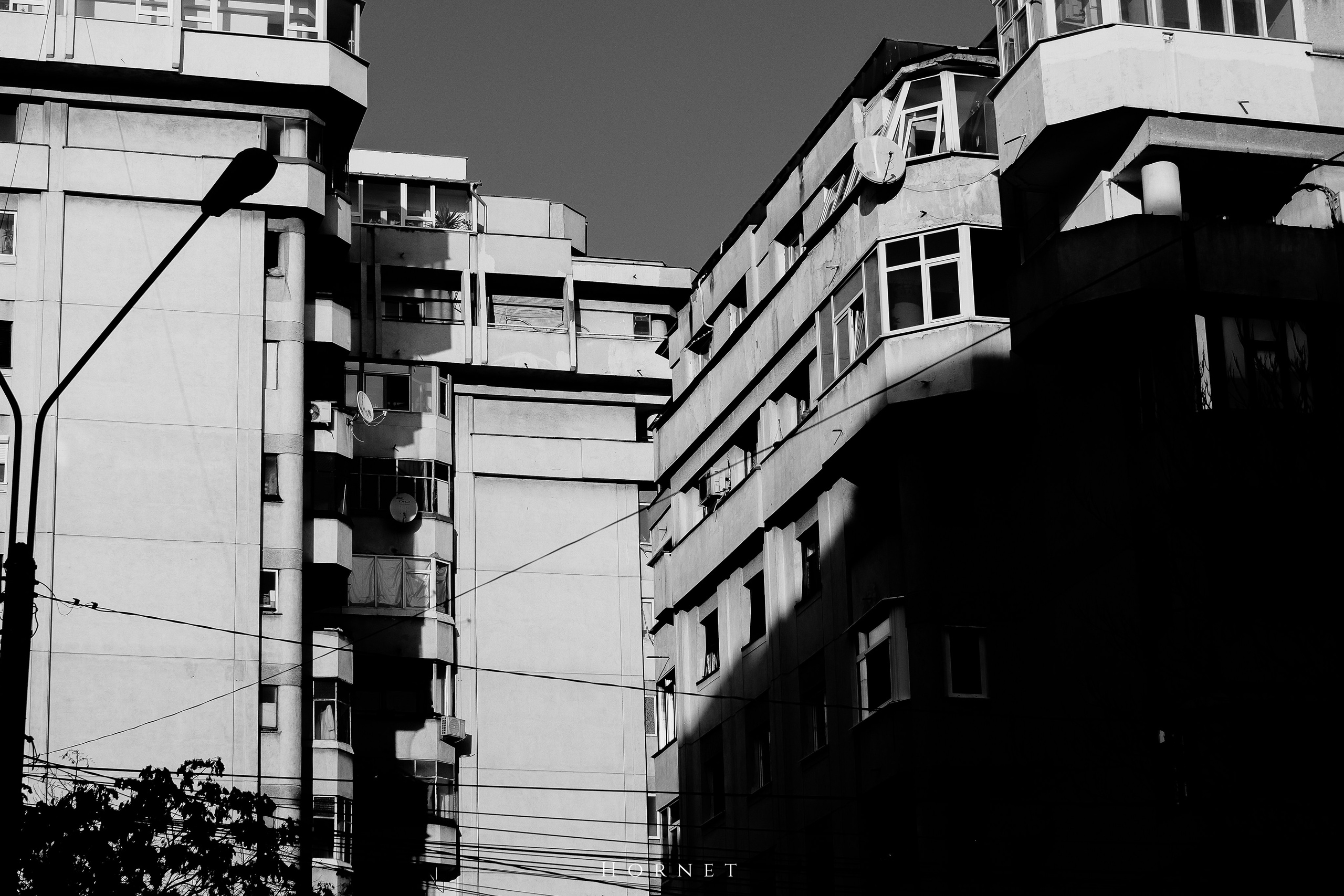 7.02.2025 Ploiesti | Romania. Hornetart