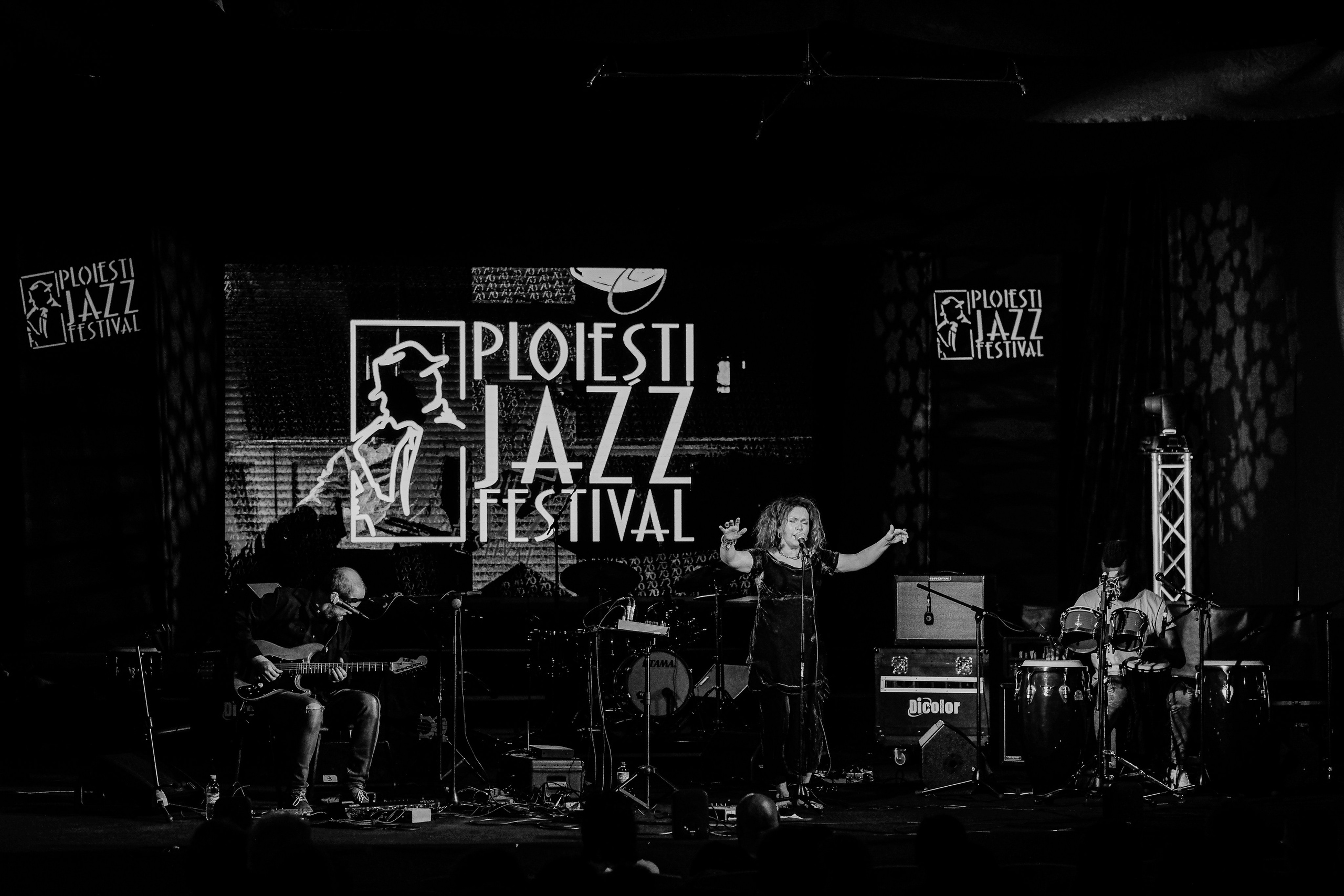 Kristin Asbjornsen Trio. Hornetart