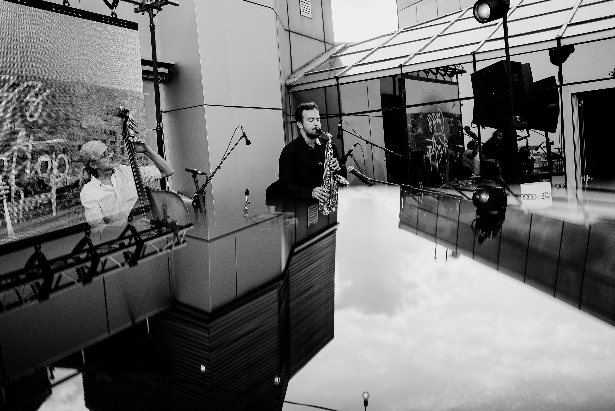 David Luca Trio. Hornetart